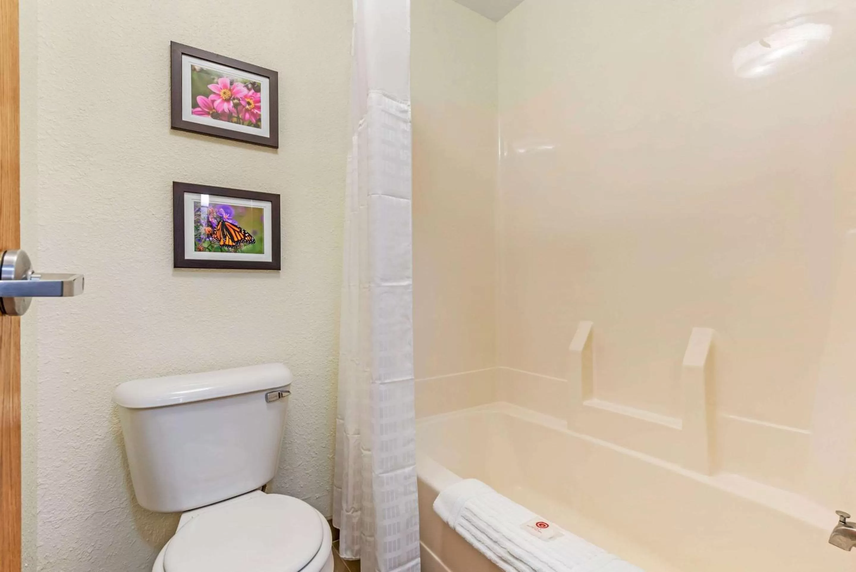 Photo of the whole room in Comfort Inn & Suites near Route 66