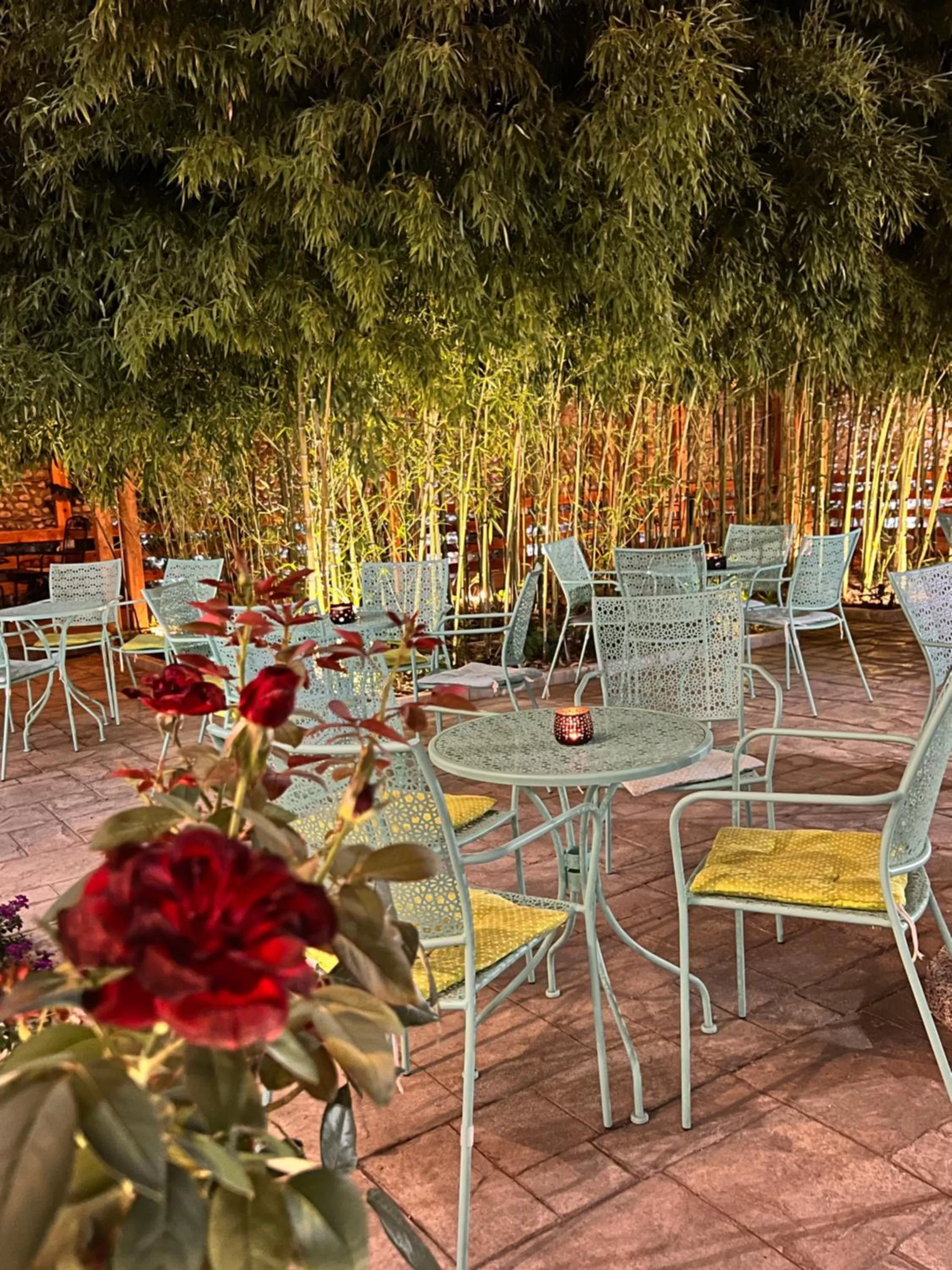 Garden in Hotel TREVA