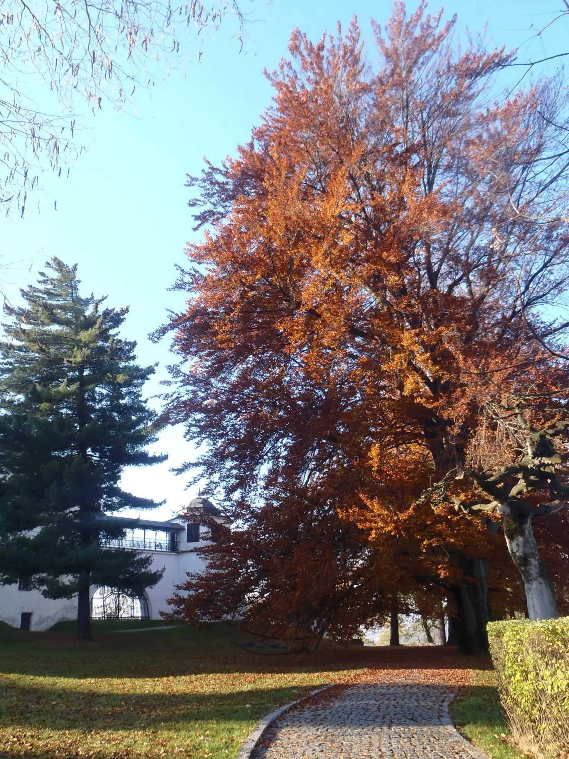 Nearby landmark in Hotel & Caffe Silesia