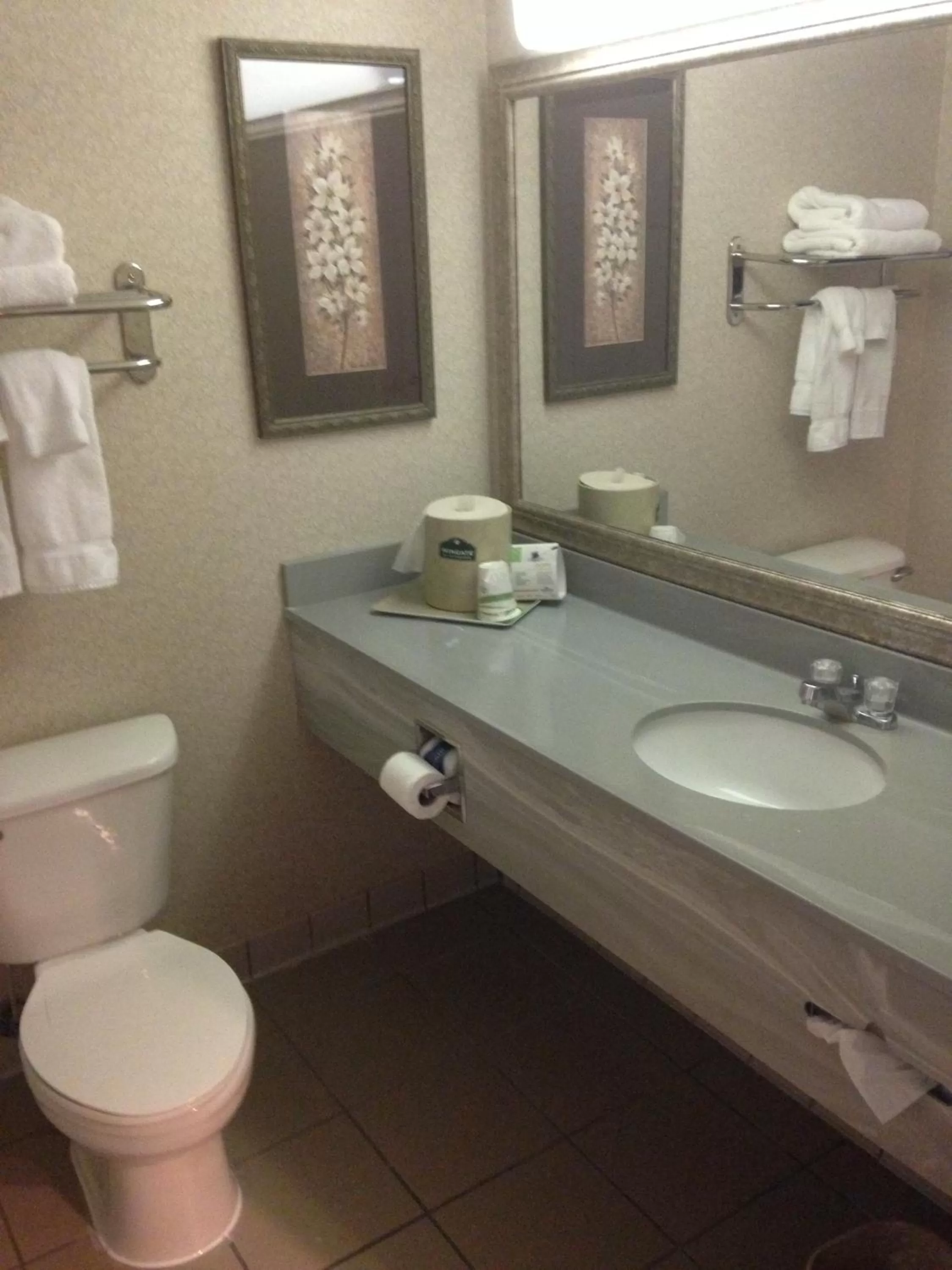 Bathroom in Wingate by Wyndham Augusta Fort Eisenhower