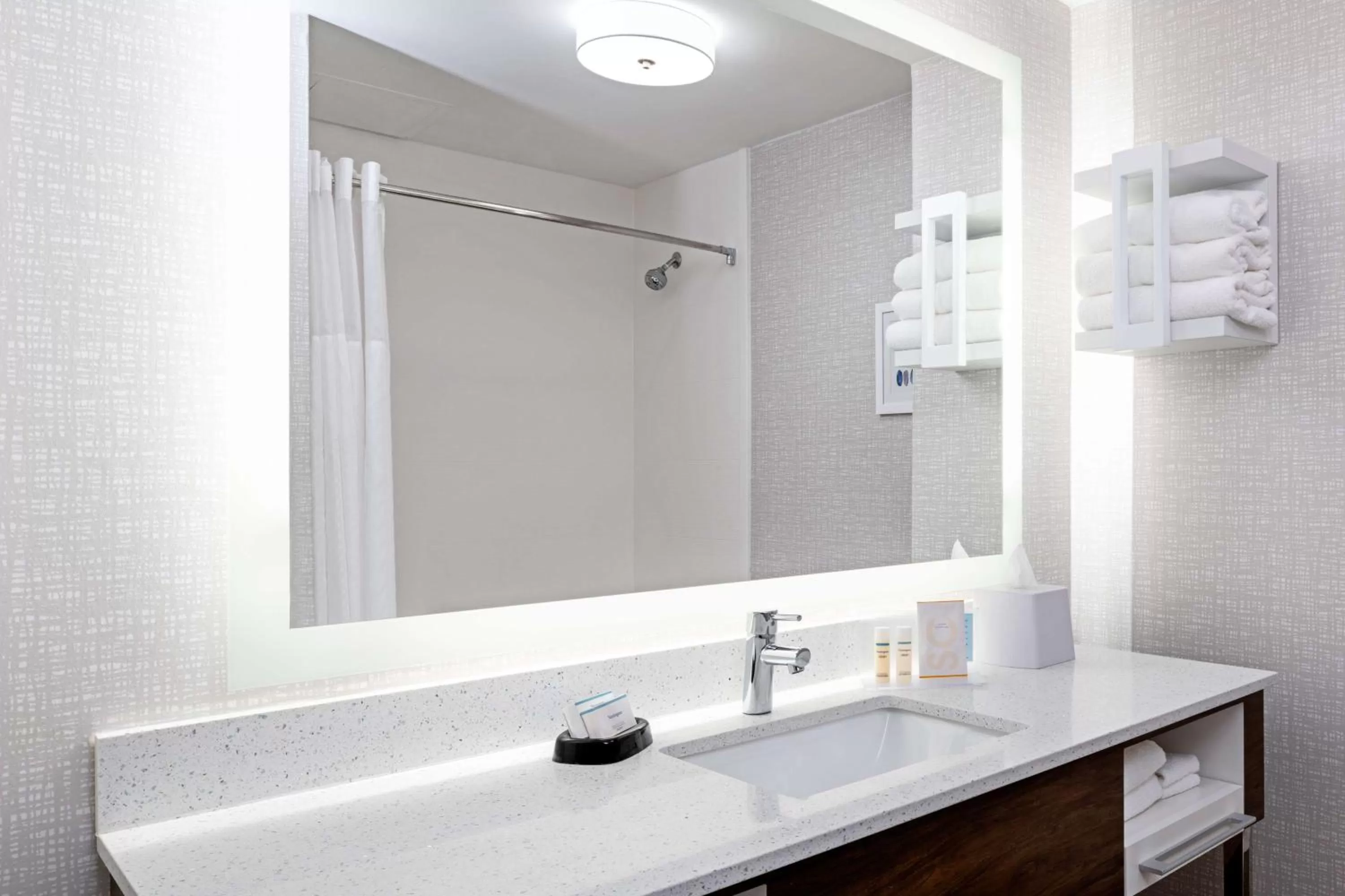 Bathroom in Hampton Inn Richmond-Mechanicsville