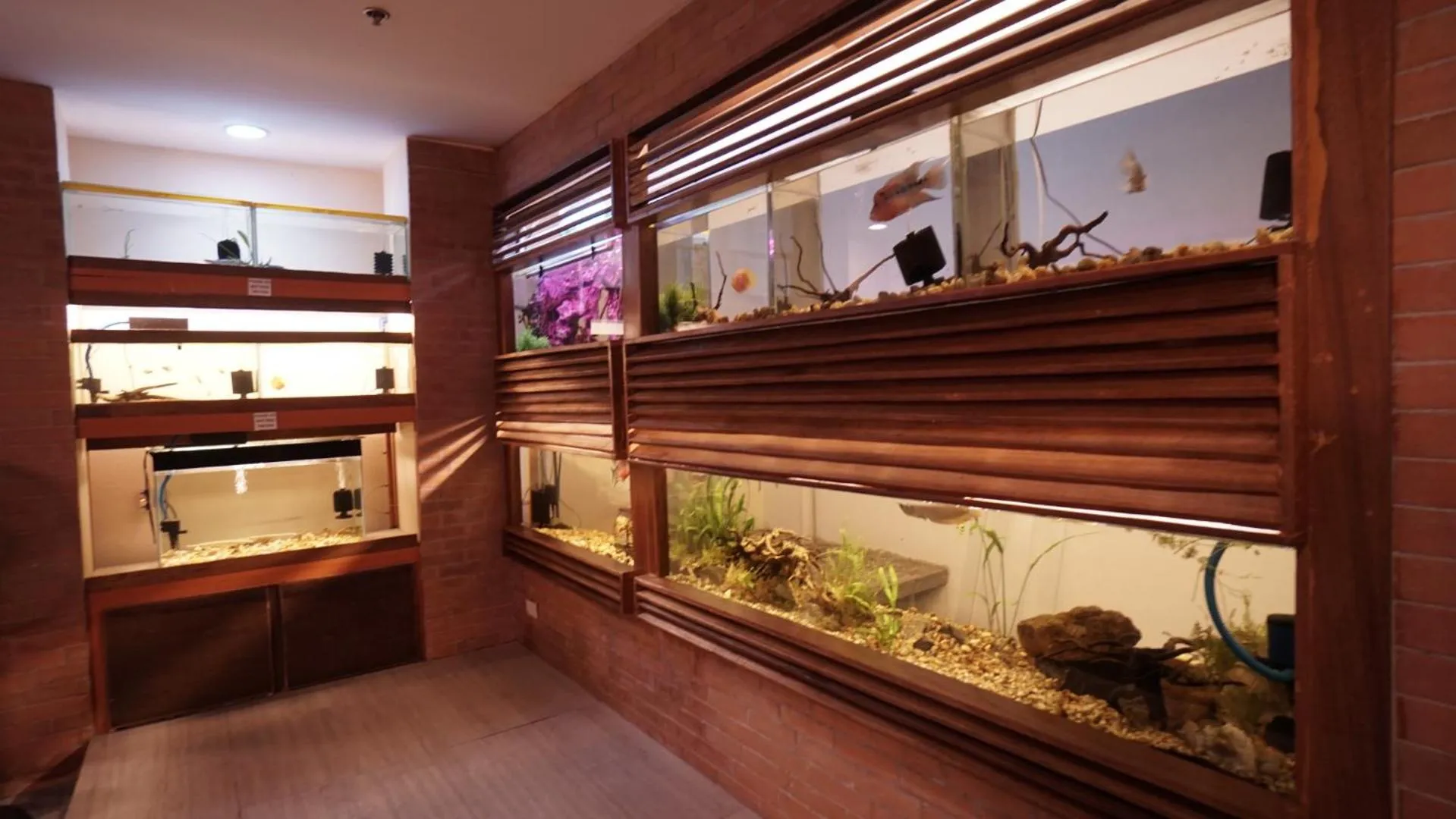 Lounge or bar in 1775 Adriatico Suites