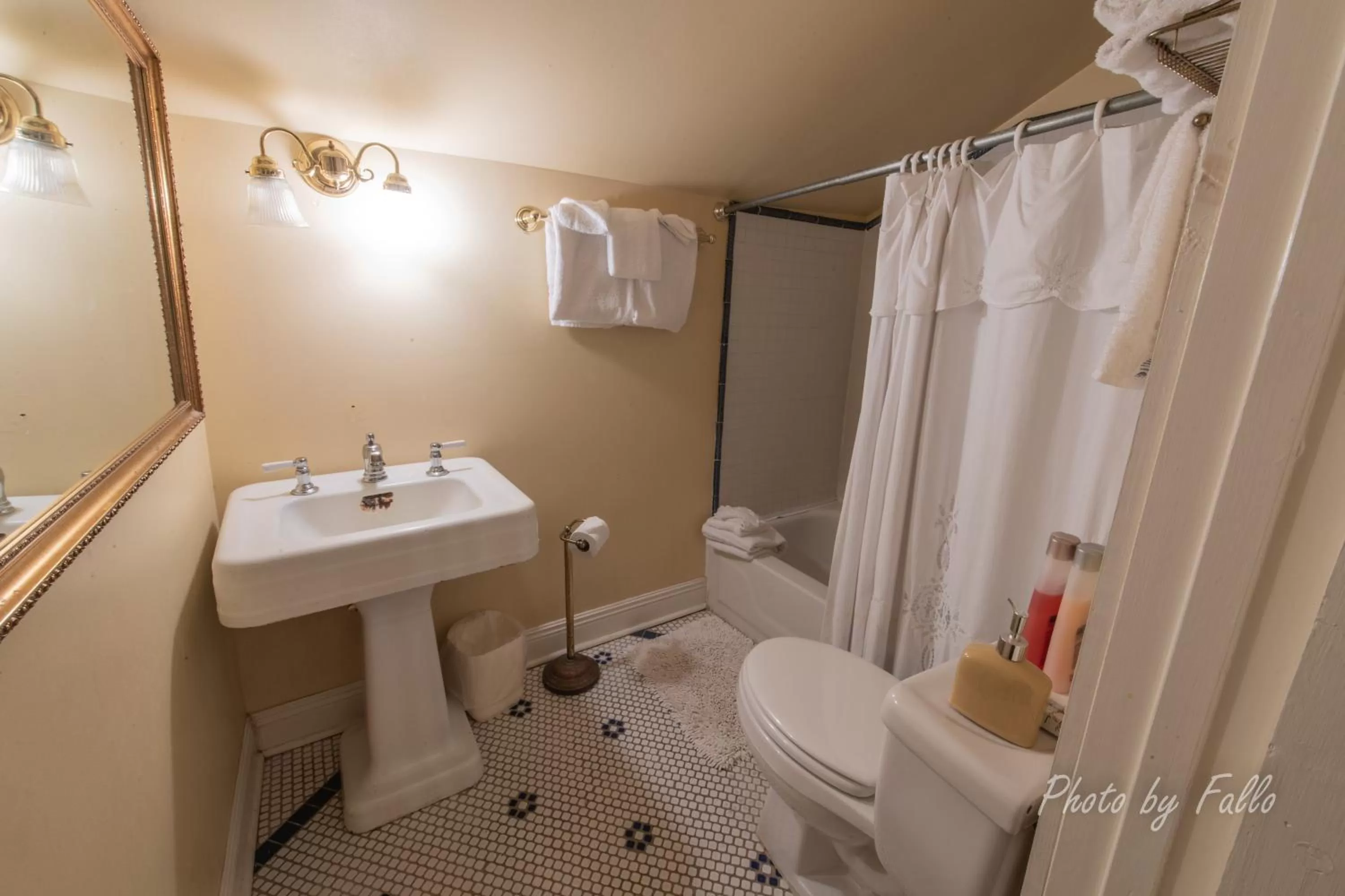 Shower, Bathroom in Edgar Degas House Historic Home and Museum