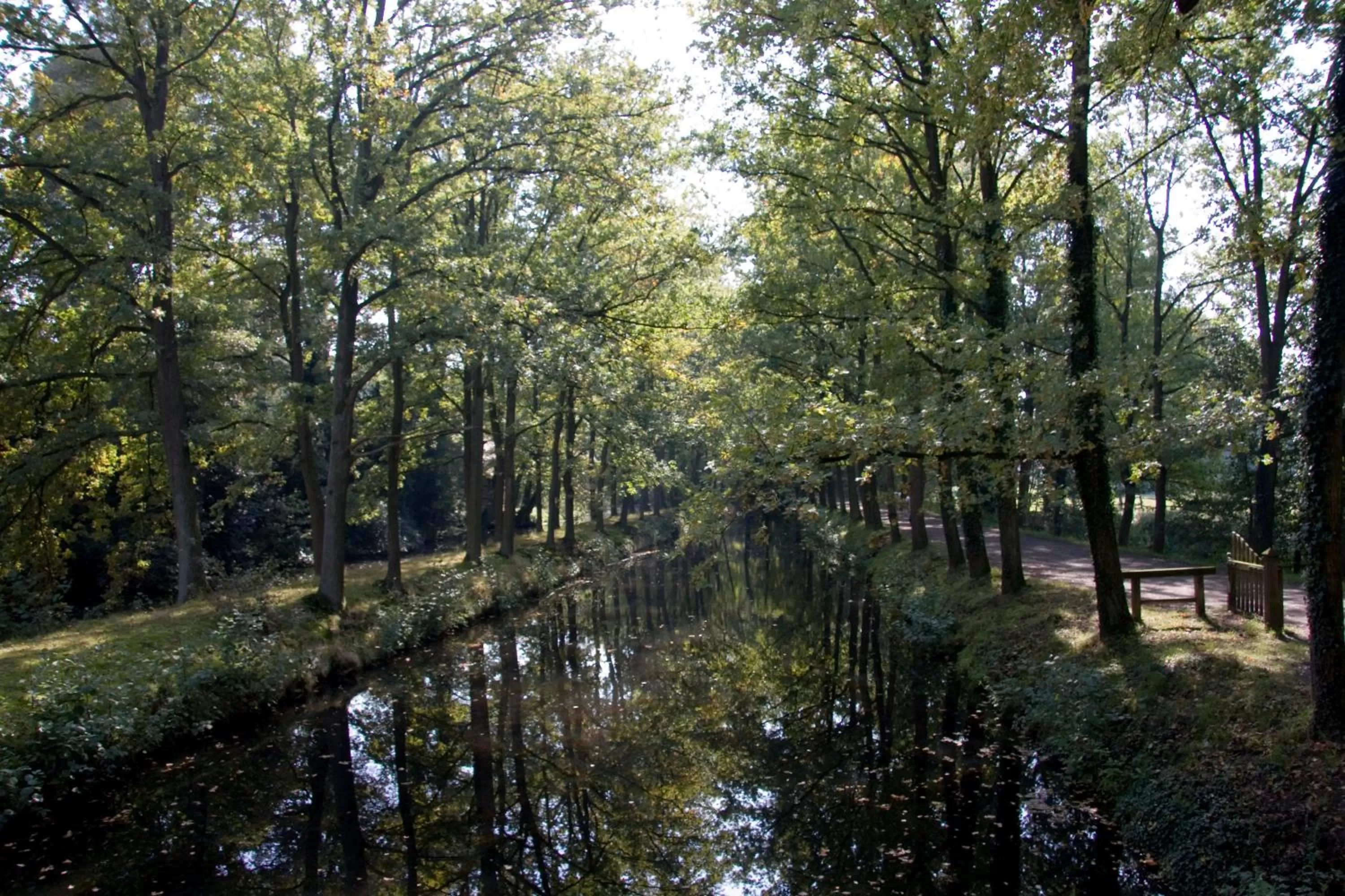 Area and facilities in VILA VITA Burghotel Dinklage
