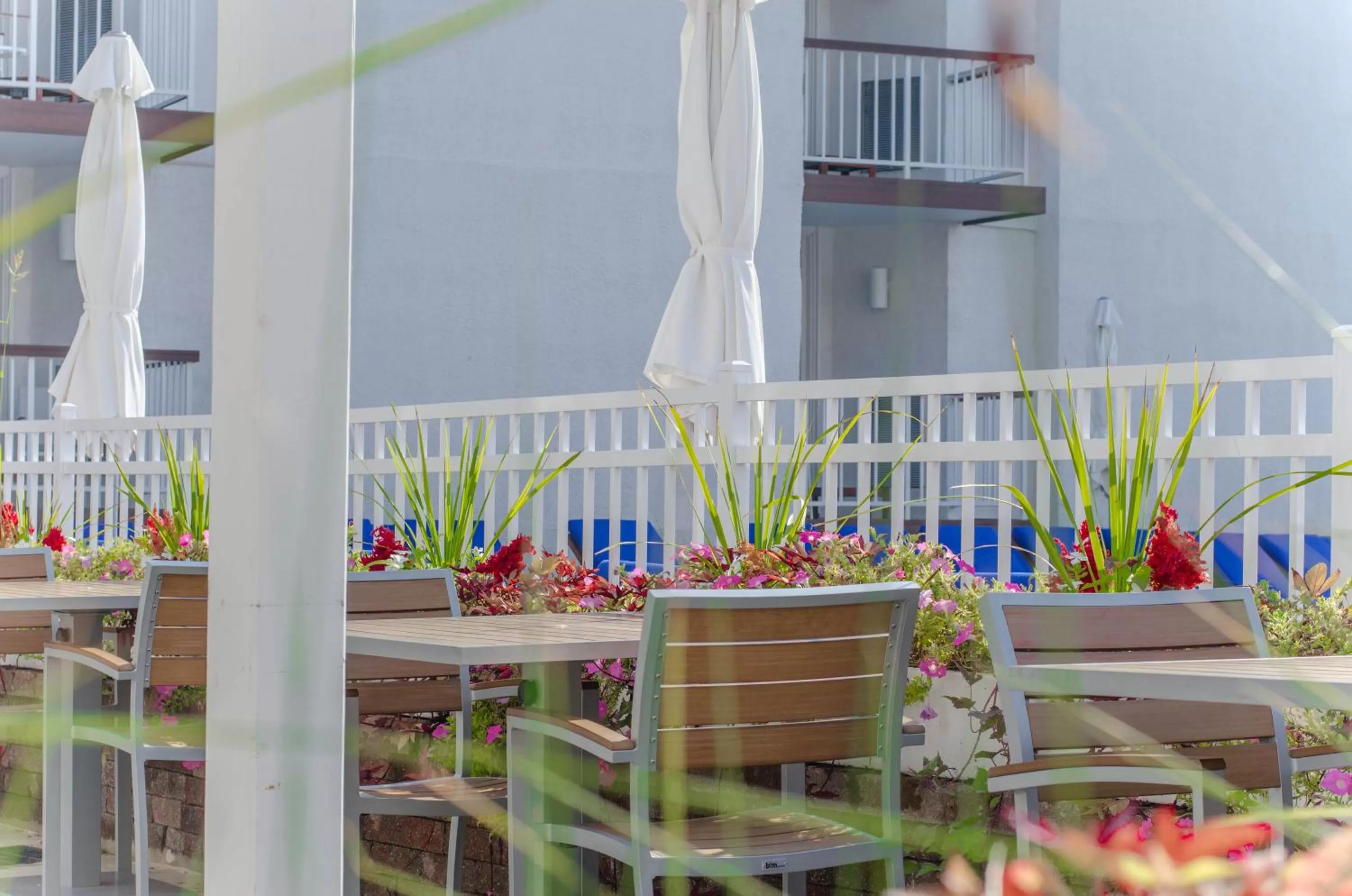 Balcony/Terrace in ICONA Diamond Beach