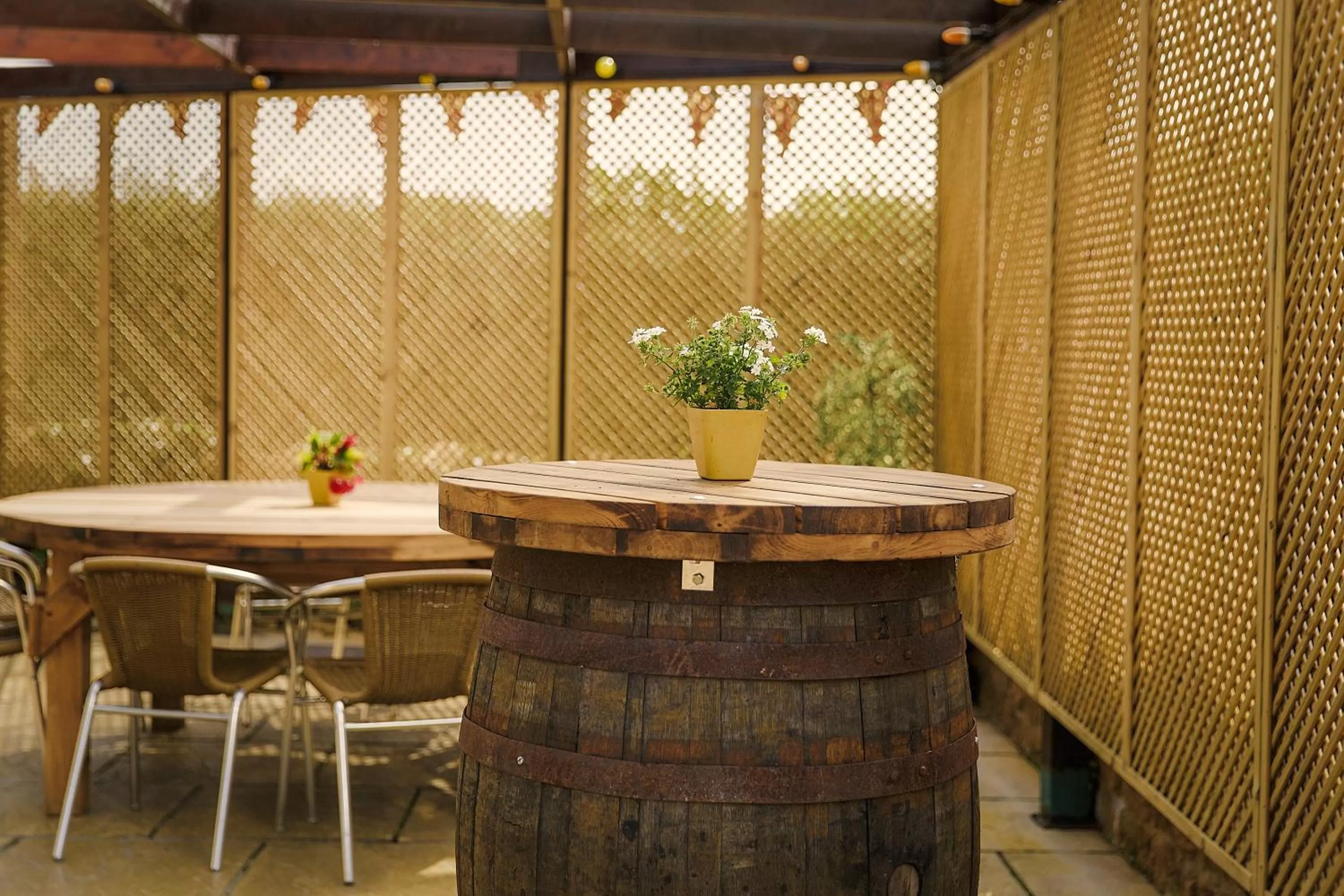 Patio in White Horse Inn & Restaurant