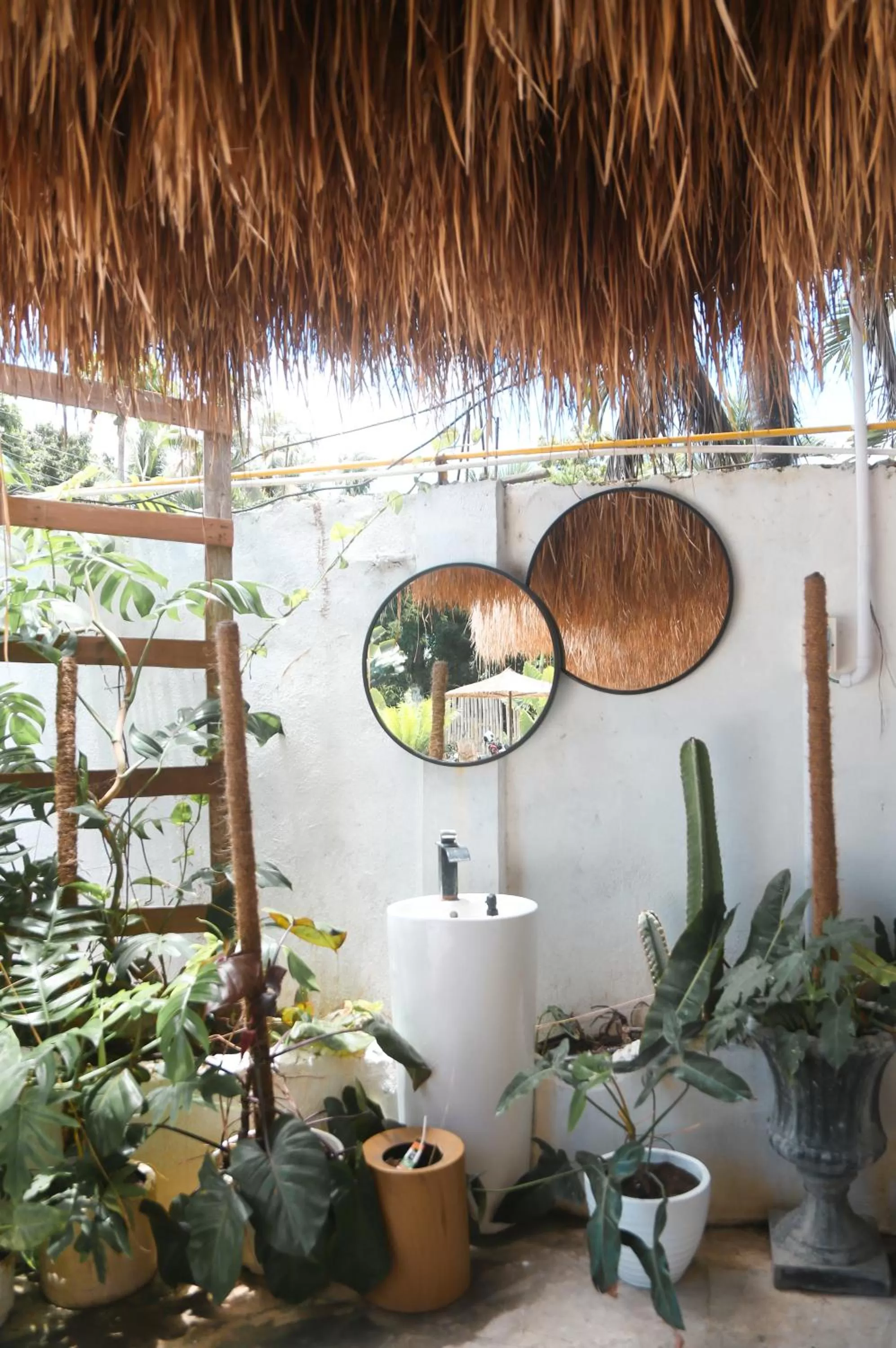 Garden view in Bassa nova villa