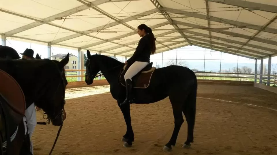 Animals in Hotel Assisivm Antica Dimora AD