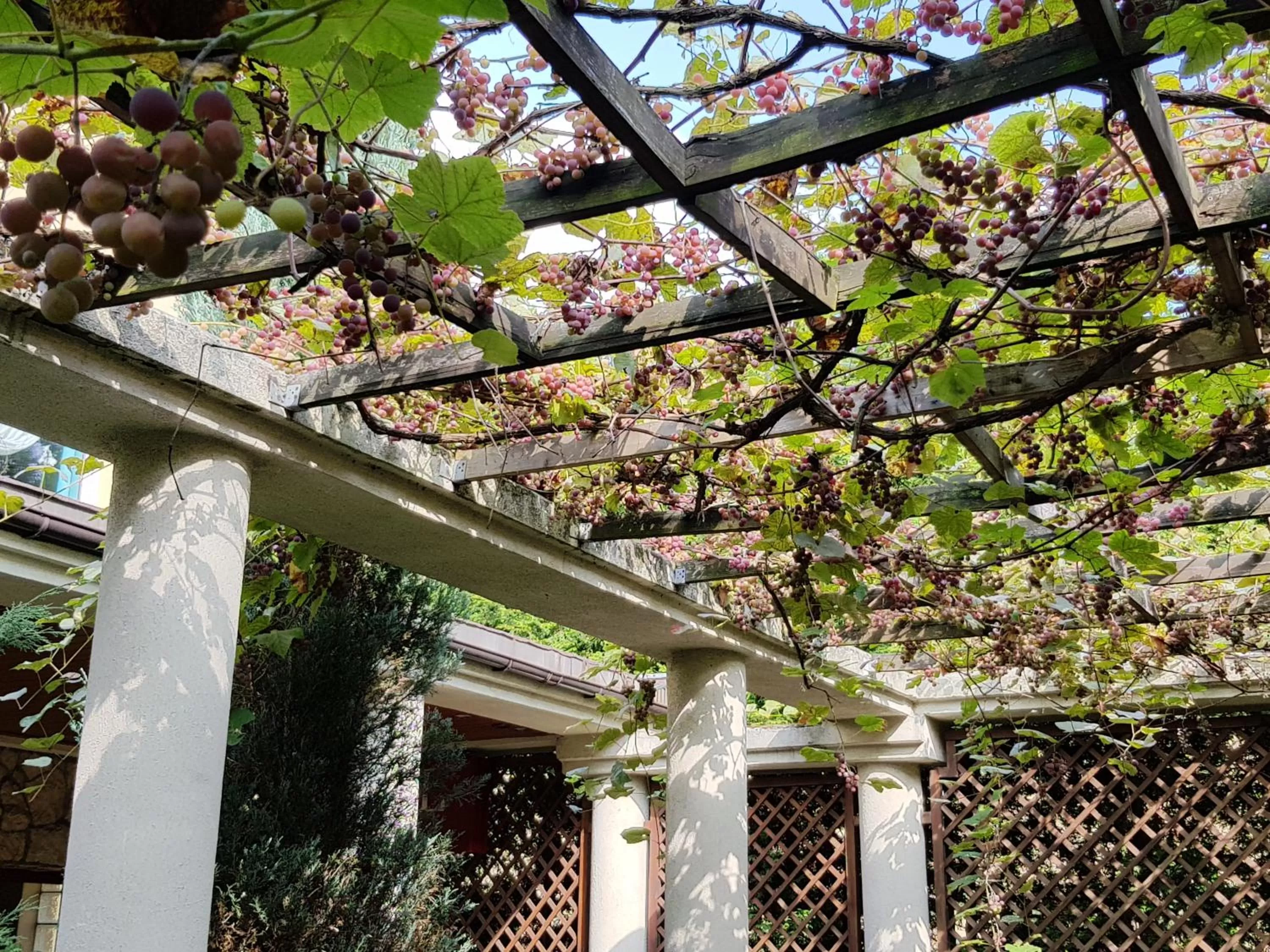 Facade/entrance in Hotel Trzy Światy Spa & Wellness Rajska WySpa