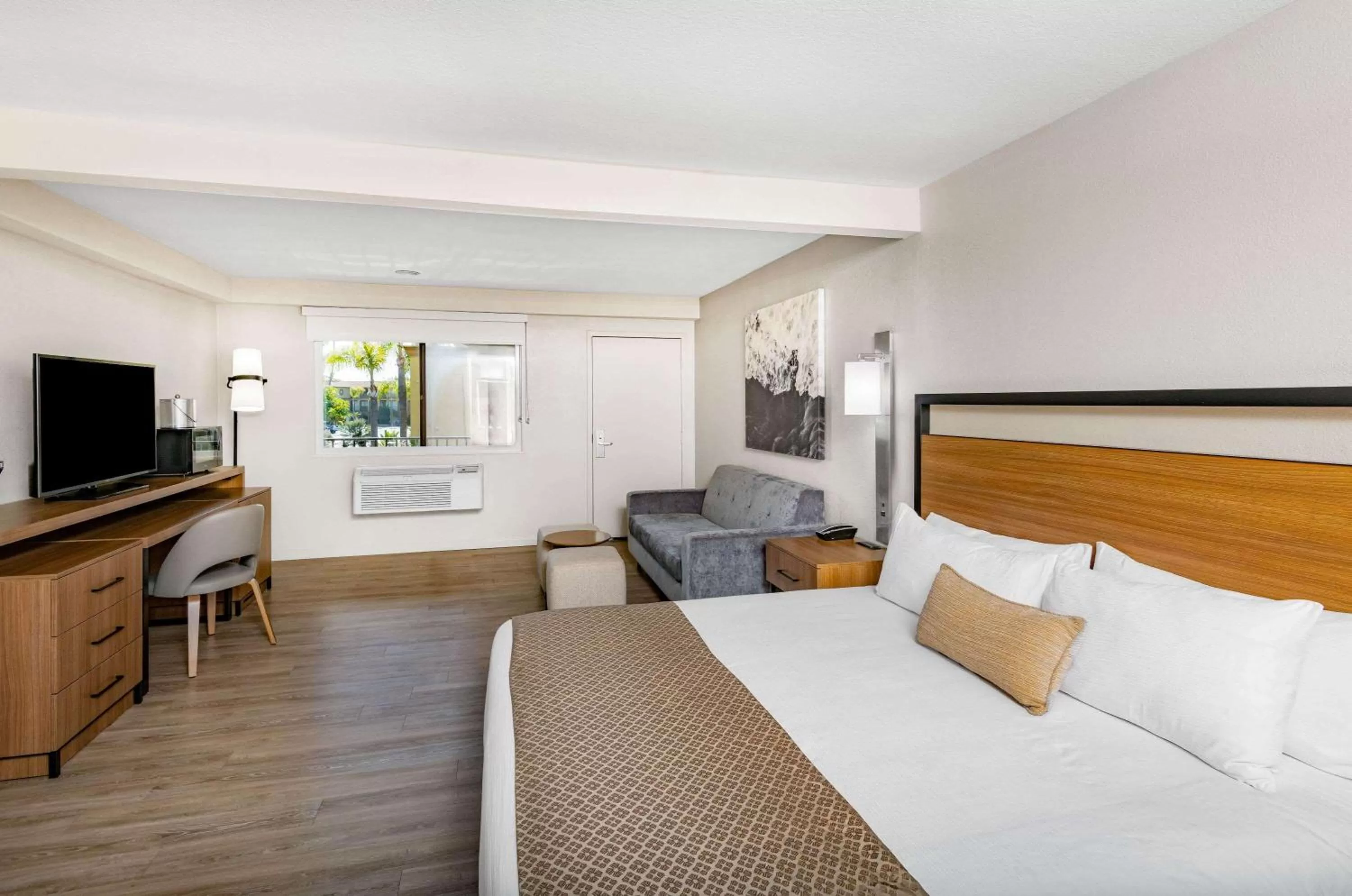 Photo of the whole room, Bed in Wyndham Garden San Diego