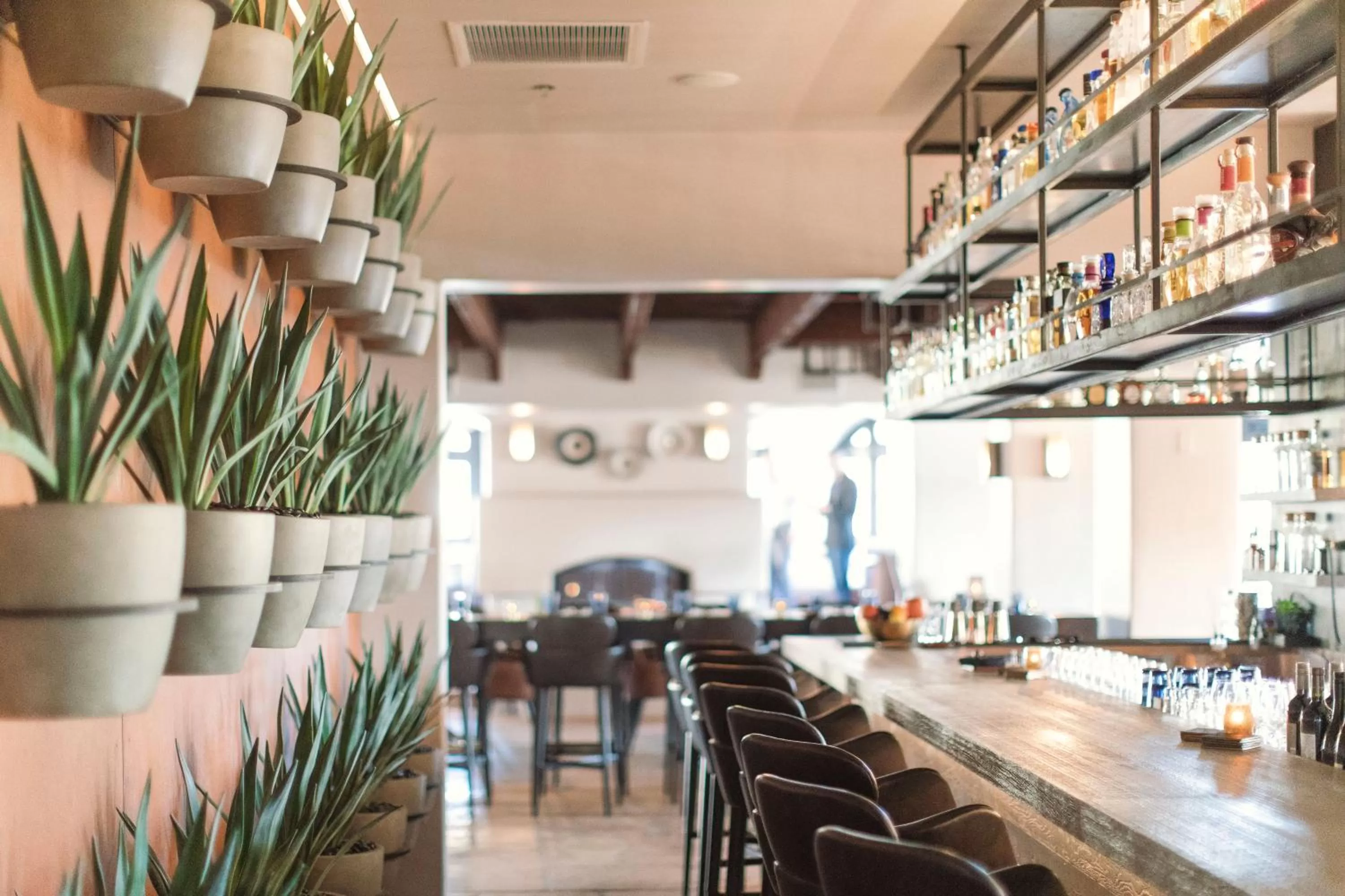 Restaurant/places to eat in Fairmont Scottsdale Princess