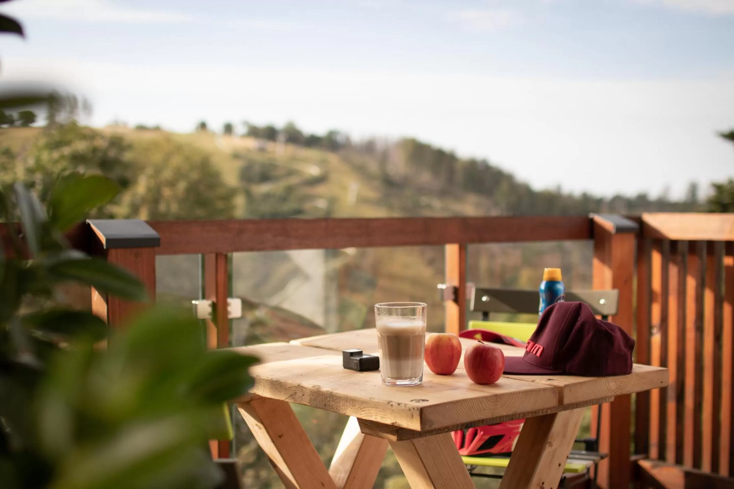 Balcony/Terrace in Harz BnB Werkmeister