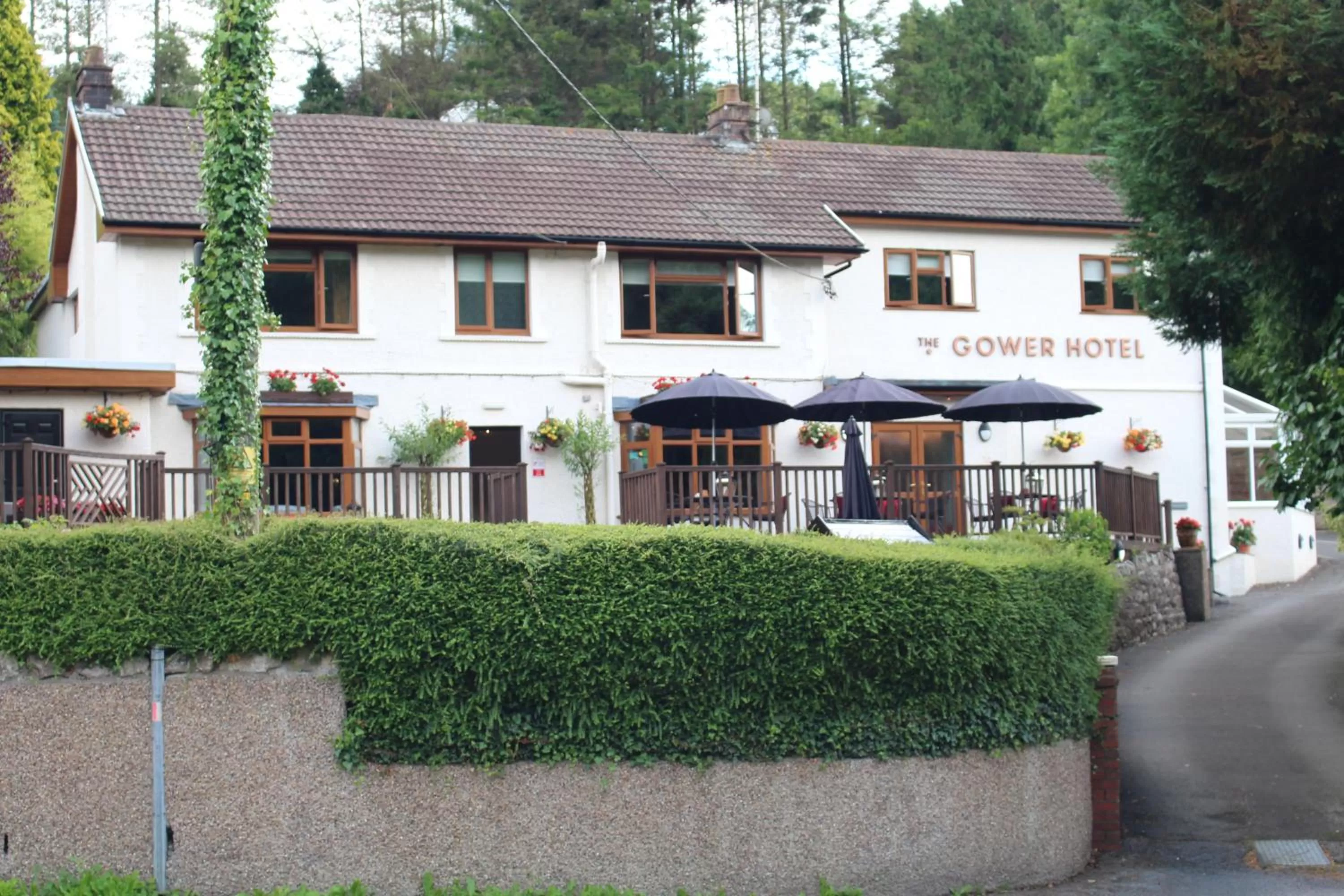 Property building in The Gower Hotel