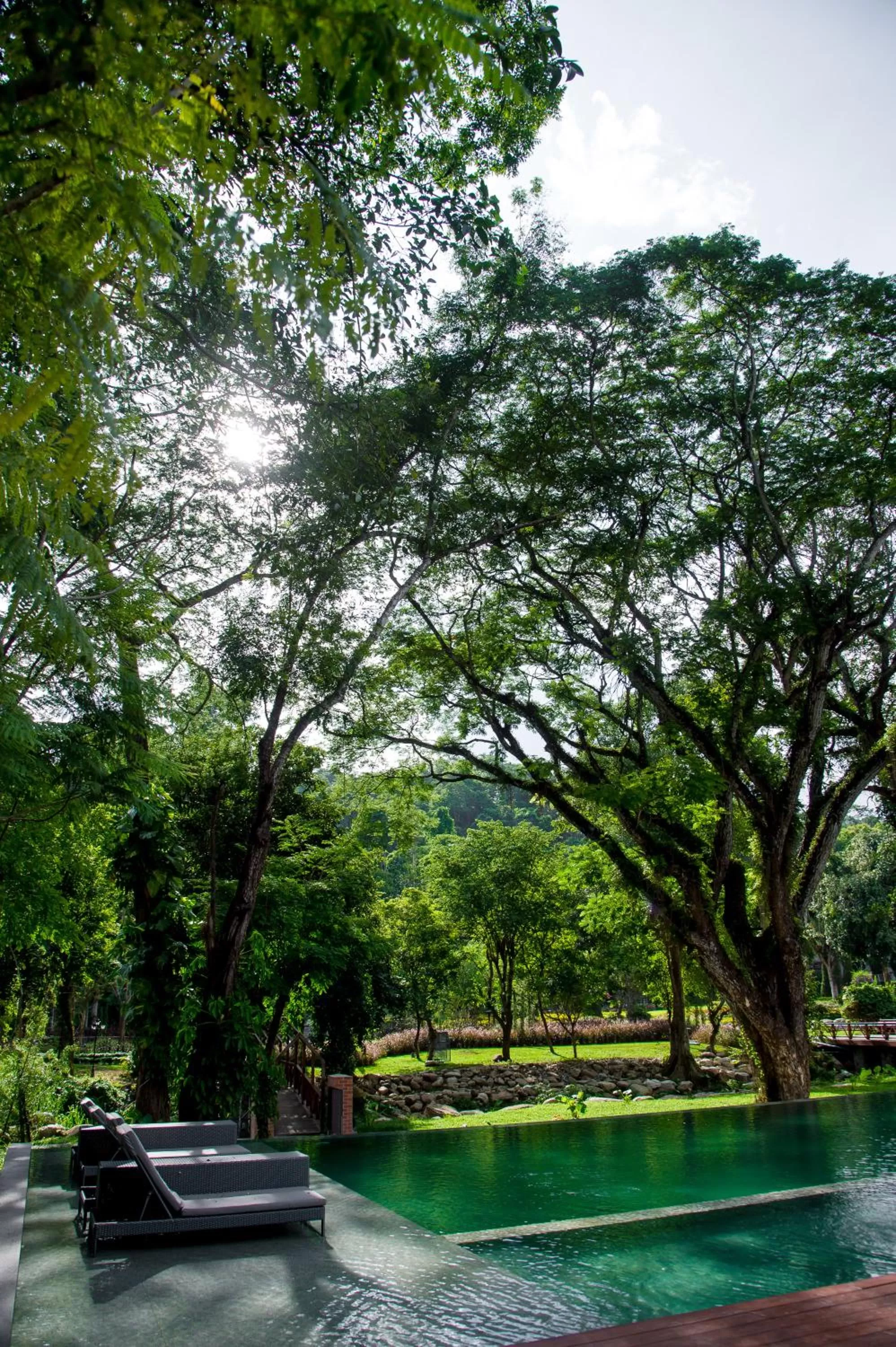 Swimming pool in Flora Creek Chiang Mai