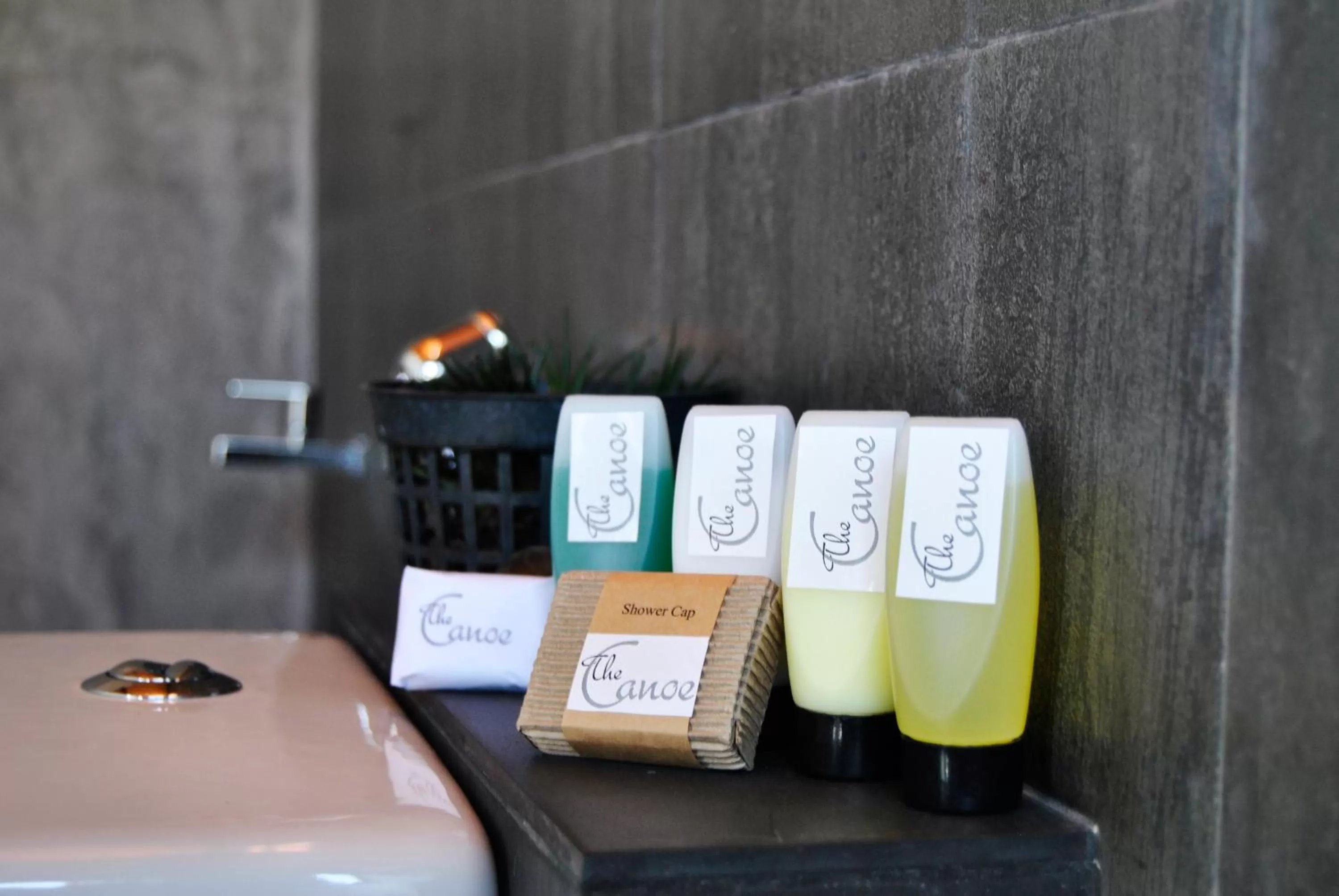 Bathroom in The Canoe