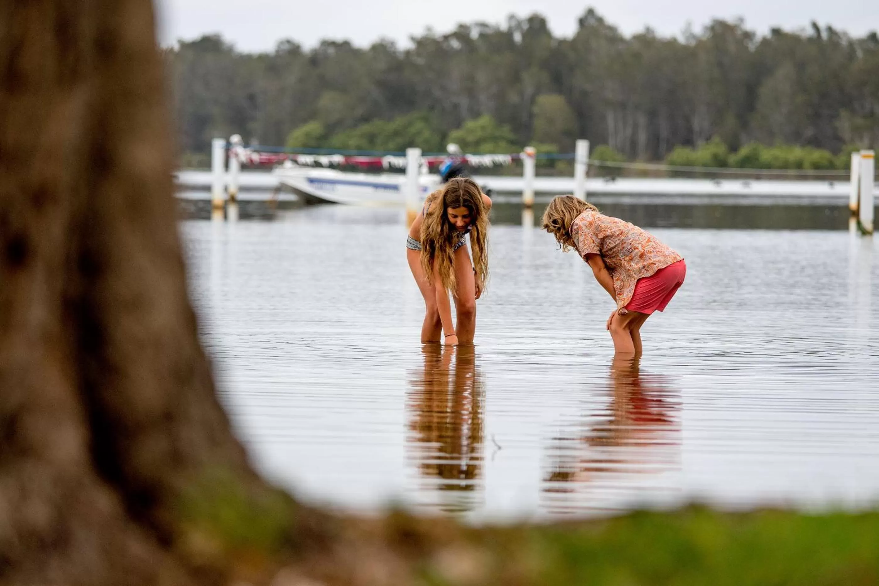 Natural landscape in Lakeside Forster Holiday Park and Village