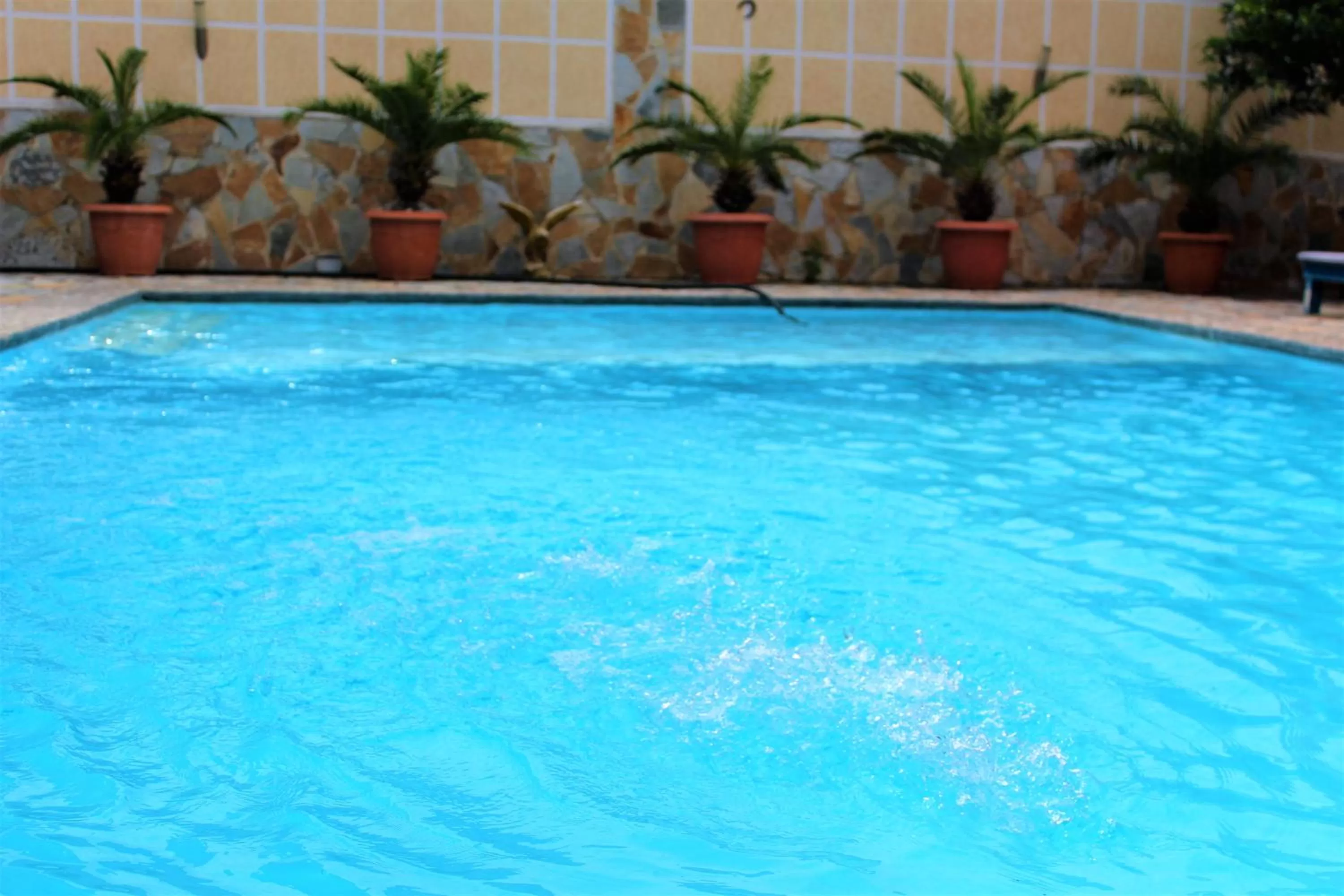 Summer in Hotel Frida