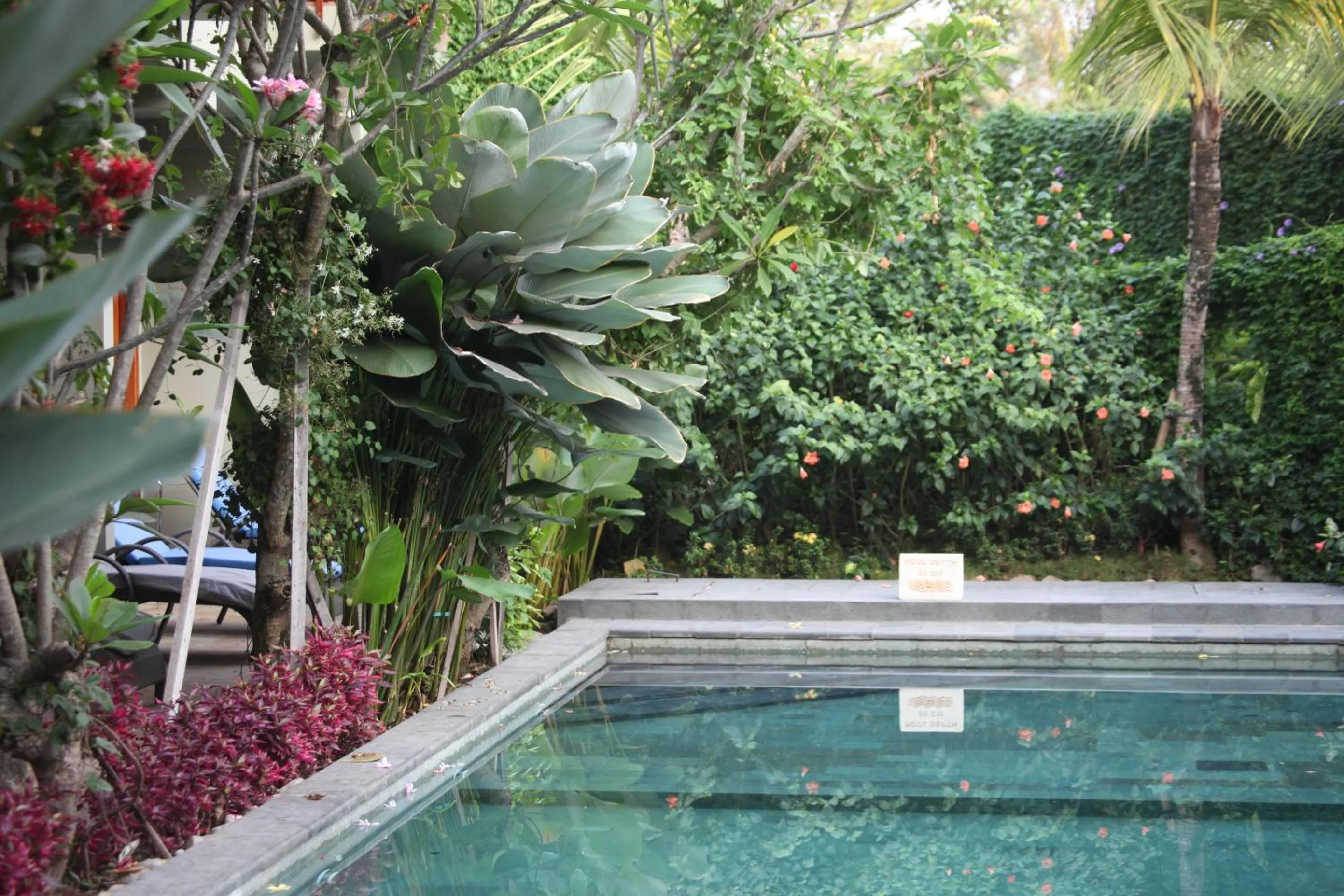 Swimming pool in Ubud Wana Resort