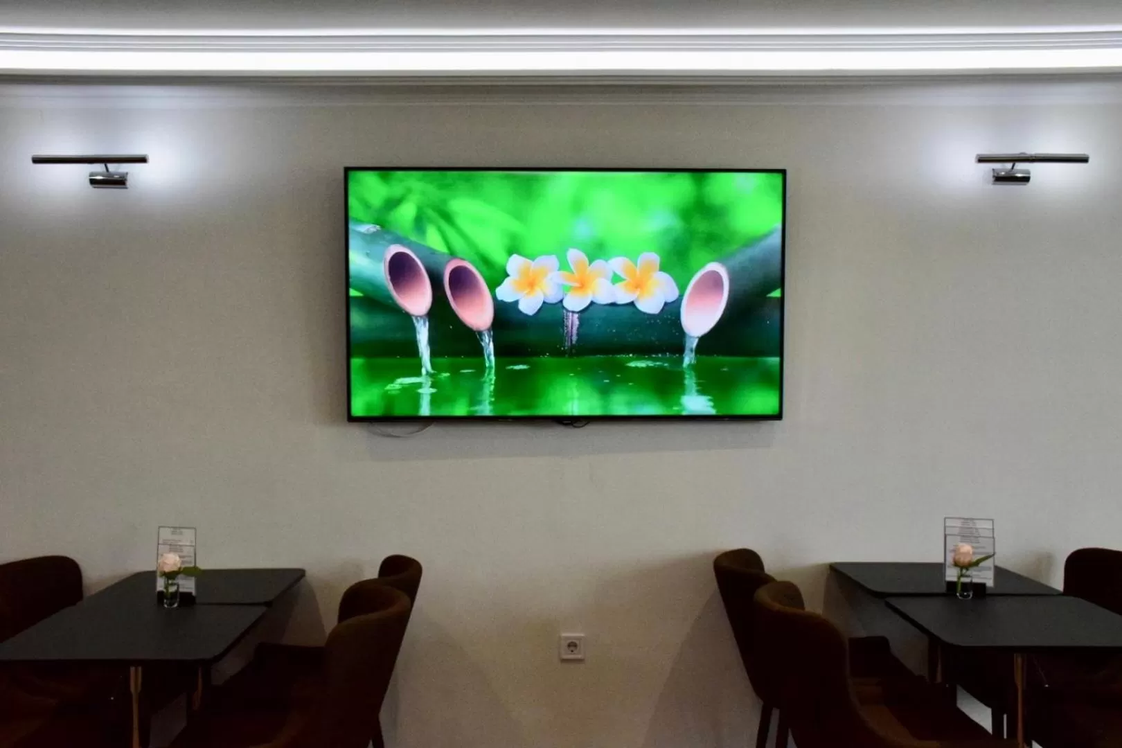 TV/Entertainment Center in Hotel Lotus