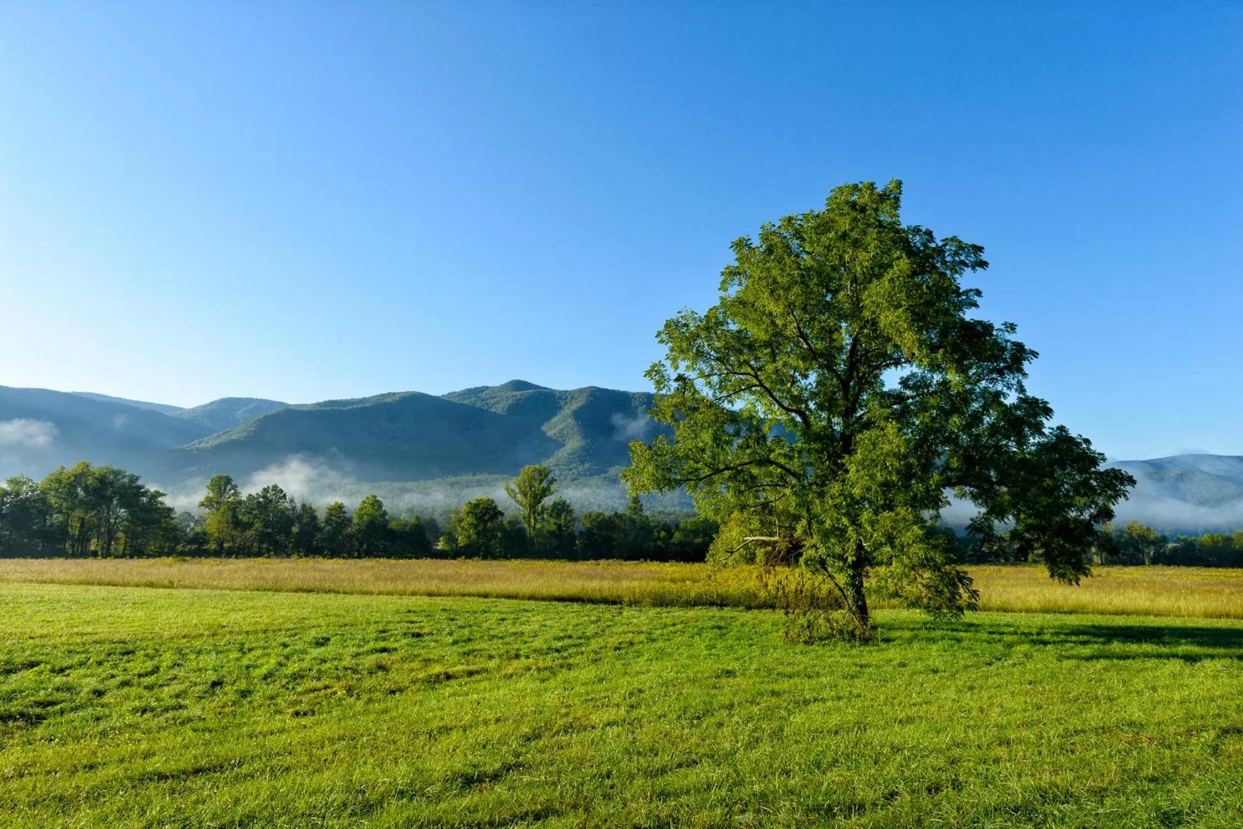Area and facilities in River Terrace Resort & Convention Center