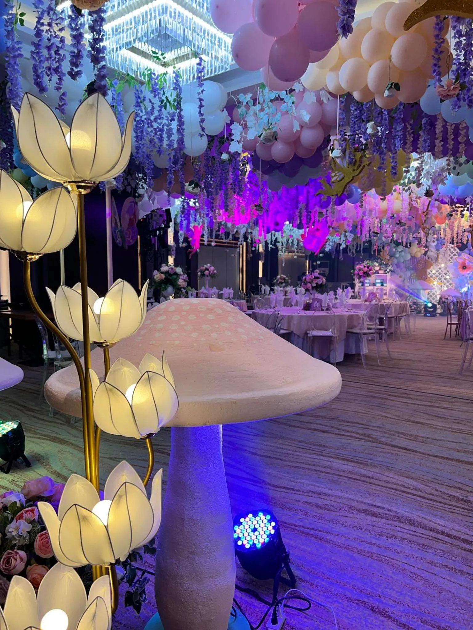 Evening entertainment in Best Western Plus Metro Clark