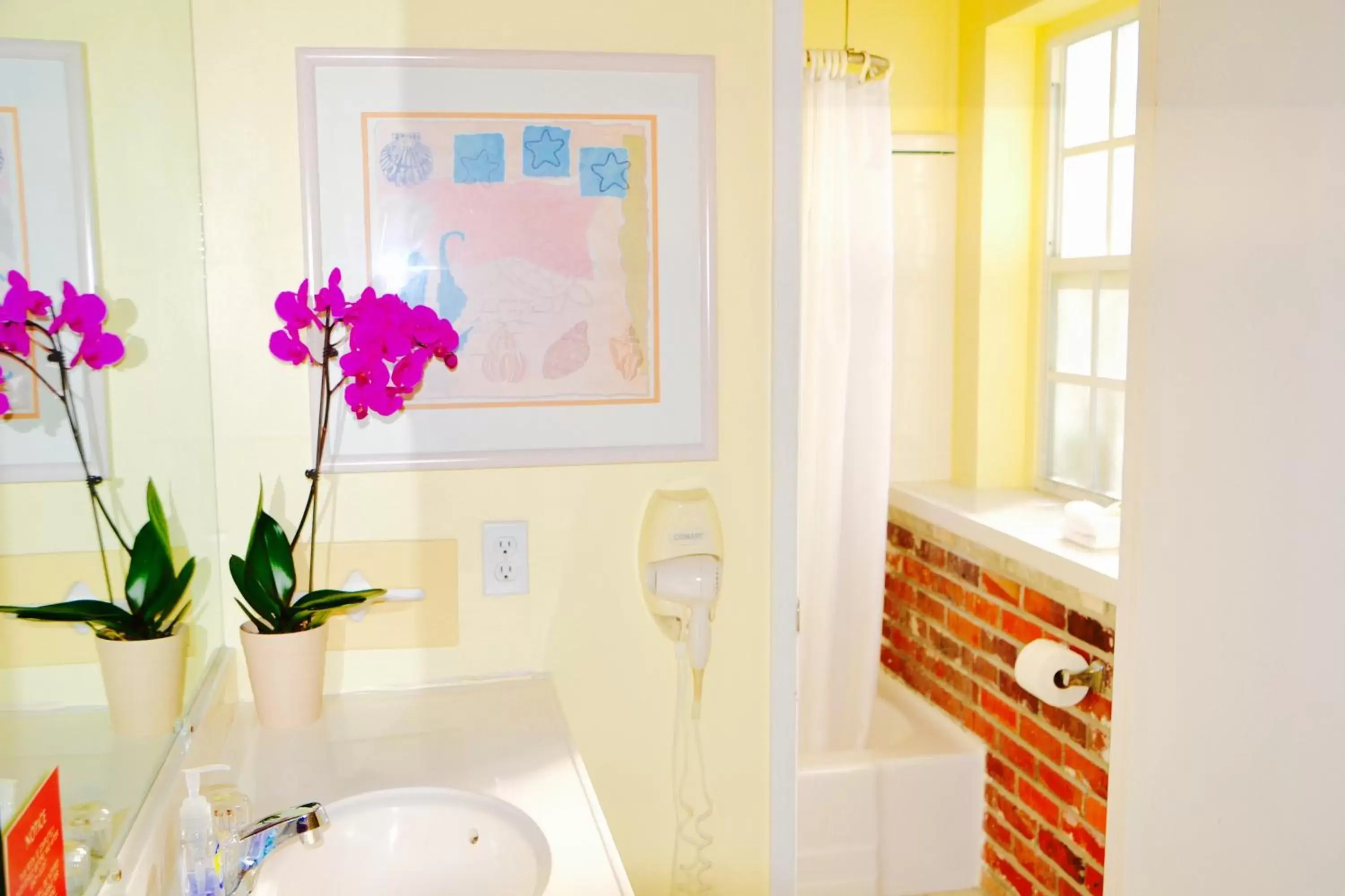 Deluxe Double or Twin Room in Sea Turtle Inn Deluxe Double or Twin Room in Sea Turtle Inn