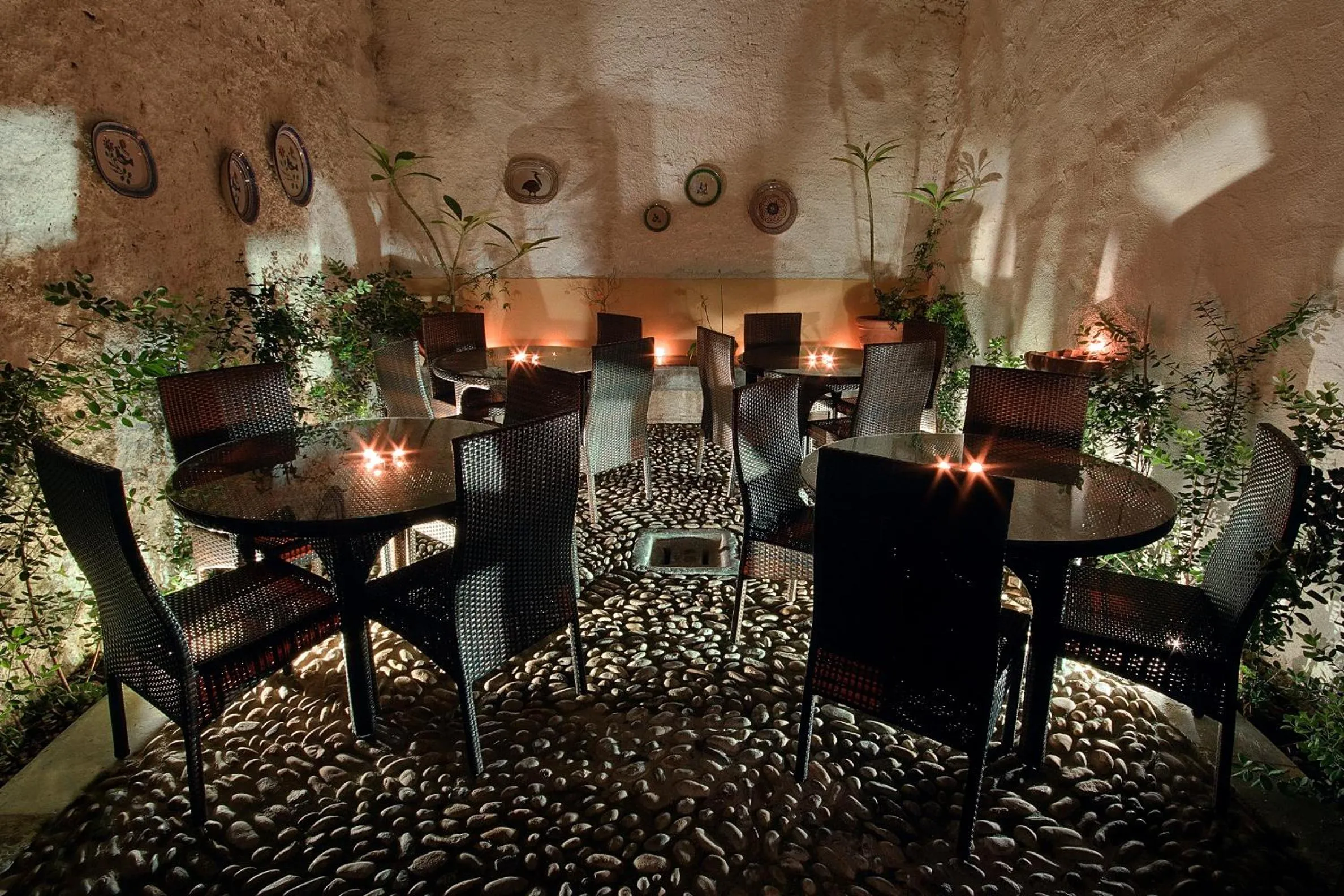 Garden in Hotel La Plumeria