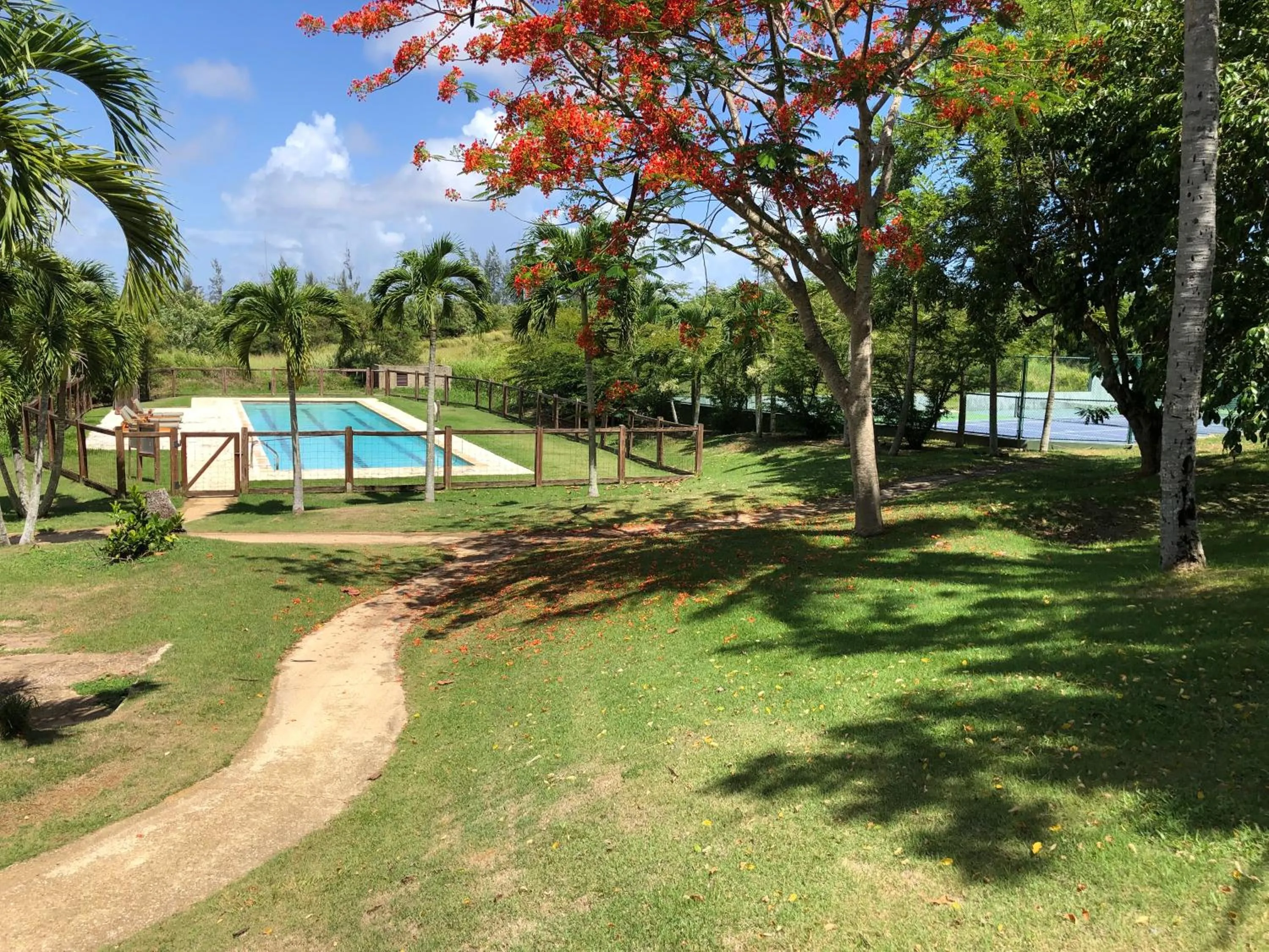 Swimming pool in Royal Isabela