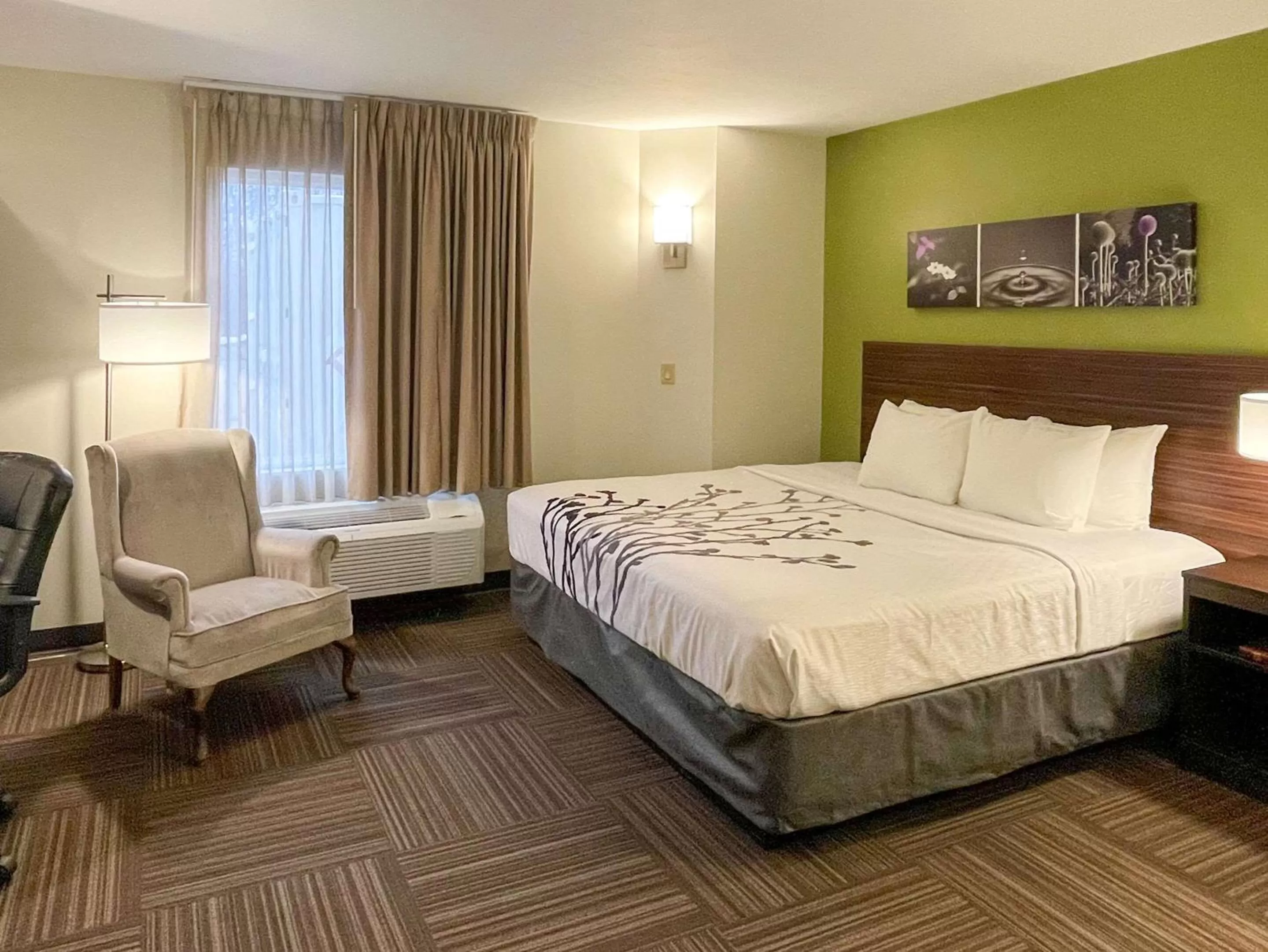 Photo of the whole room, Bed in Sleep Inn