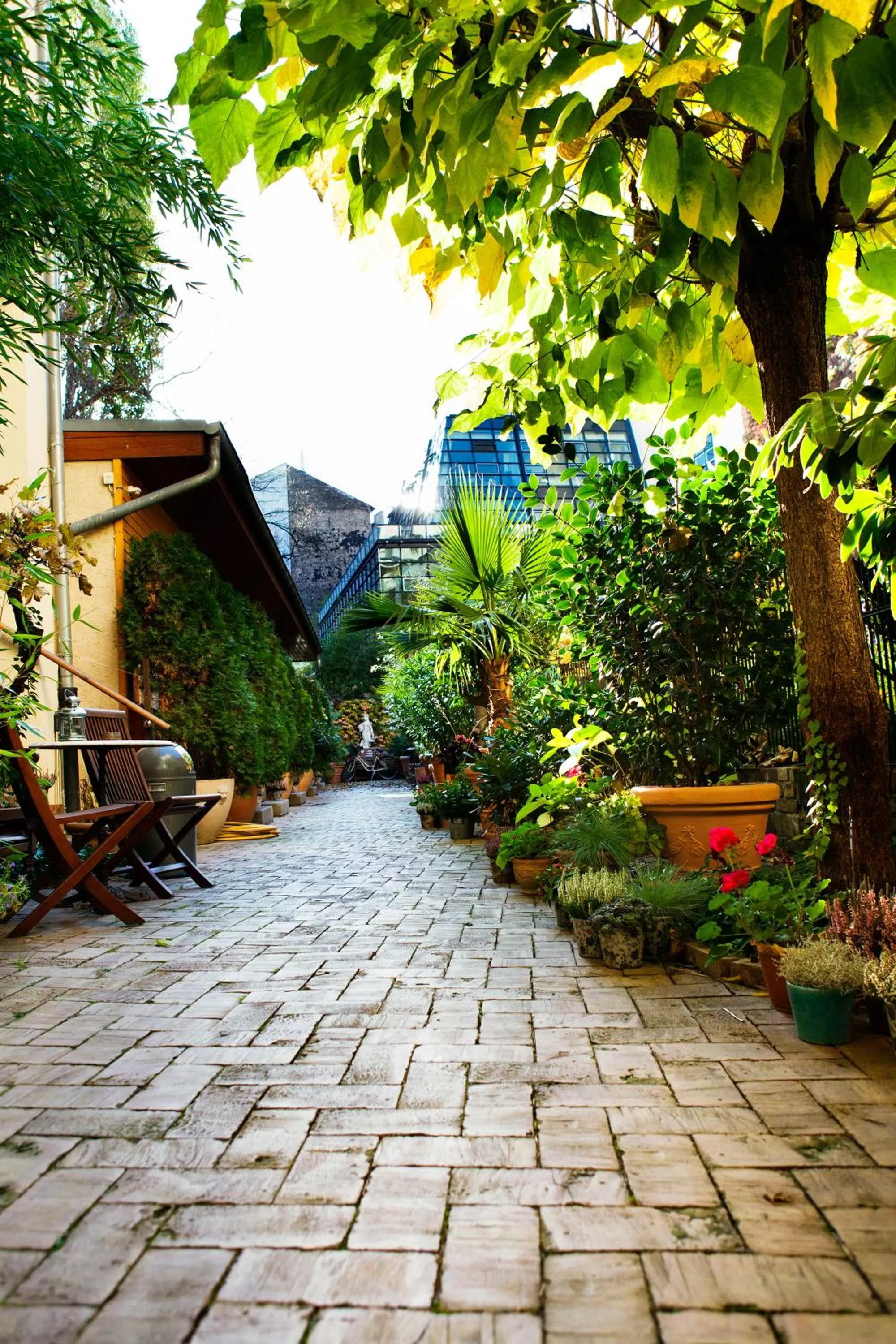 Patio in THE GATE GARDEN Hotel