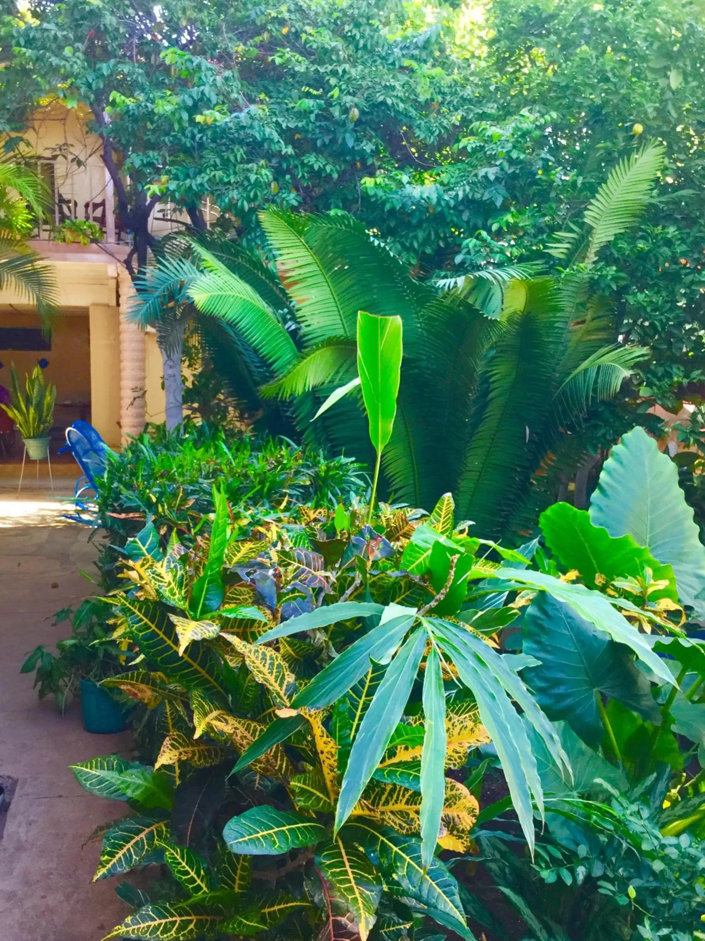 Garden view in Hotel y Apartments Los Cisneros