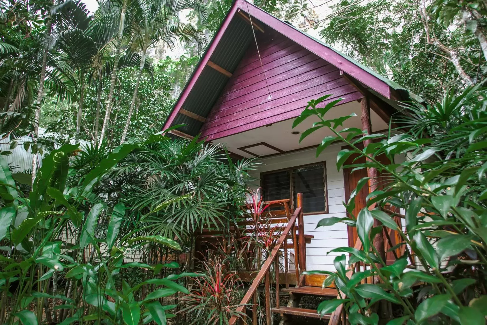 Area and facilities in The Vatika Resort and Spa