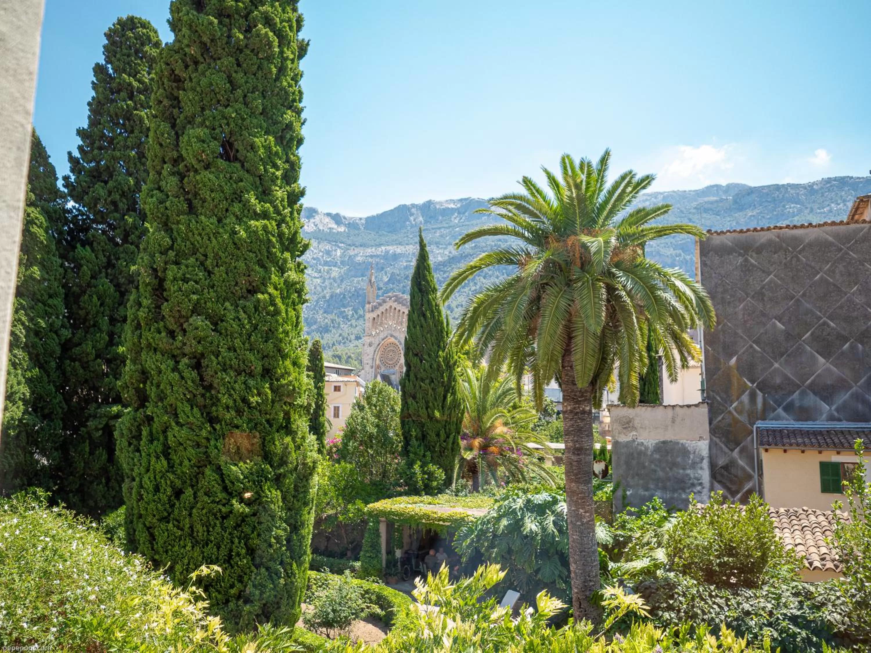 Spring in Ca'n Puig de Sòller