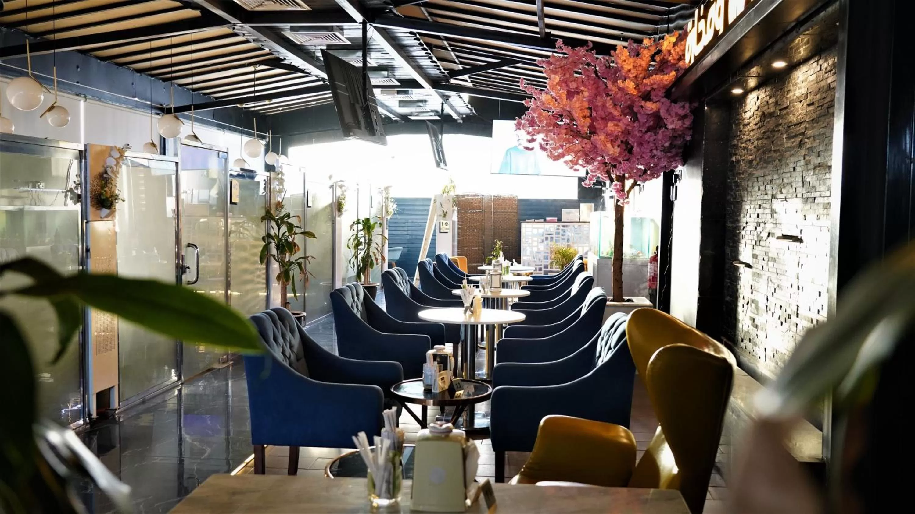 Restaurant/places to eat in فندق جولدن نايت Golden Night Hotel