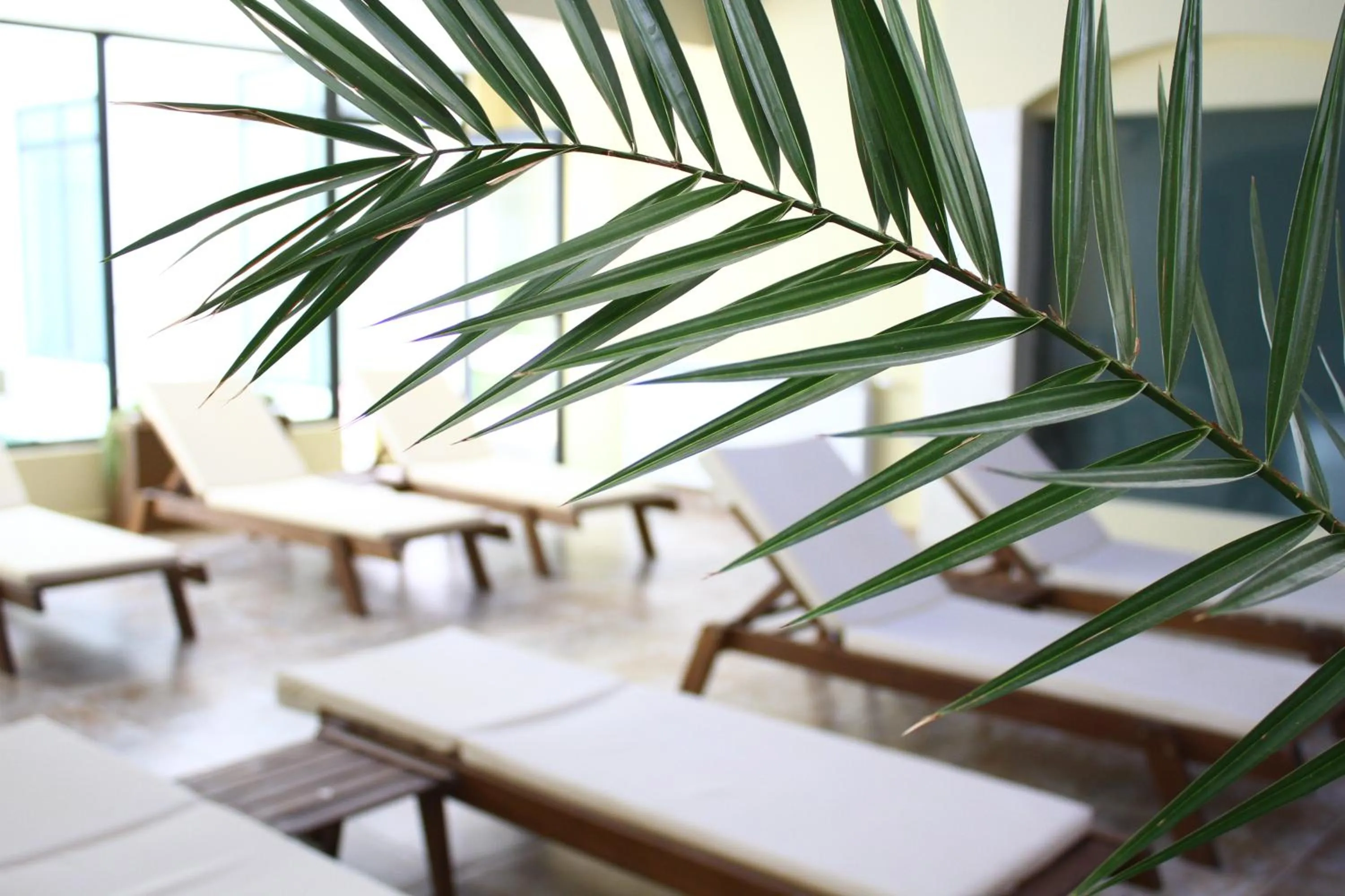 Spa and wellness centre/facilities in White Rock Castle Suite Hotel & SPA