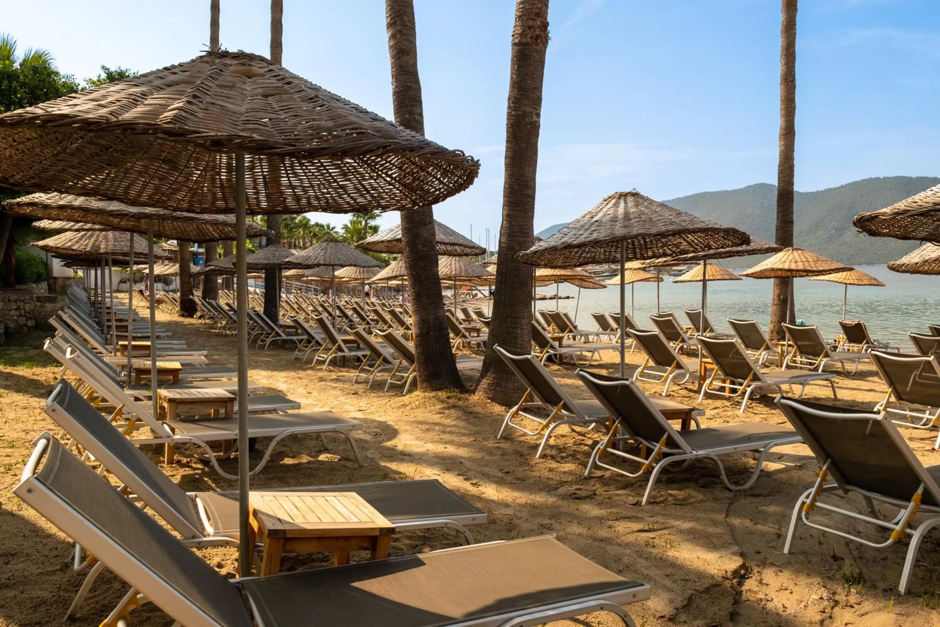 Day in TUI MAGIC LIFE Bodrum - Adults Only