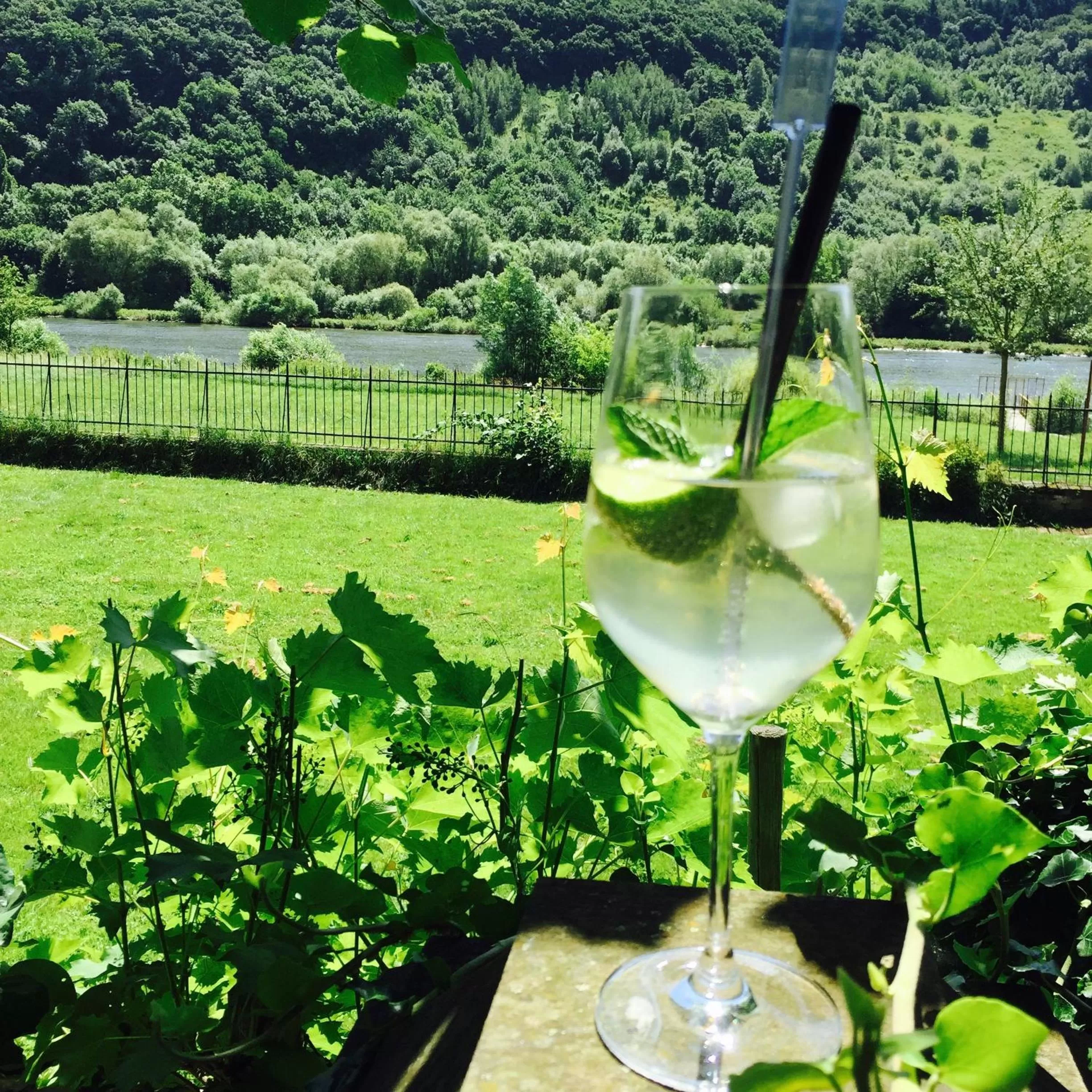 Restaurant/places to eat in Boutiquehotel Kloster Pfalzel