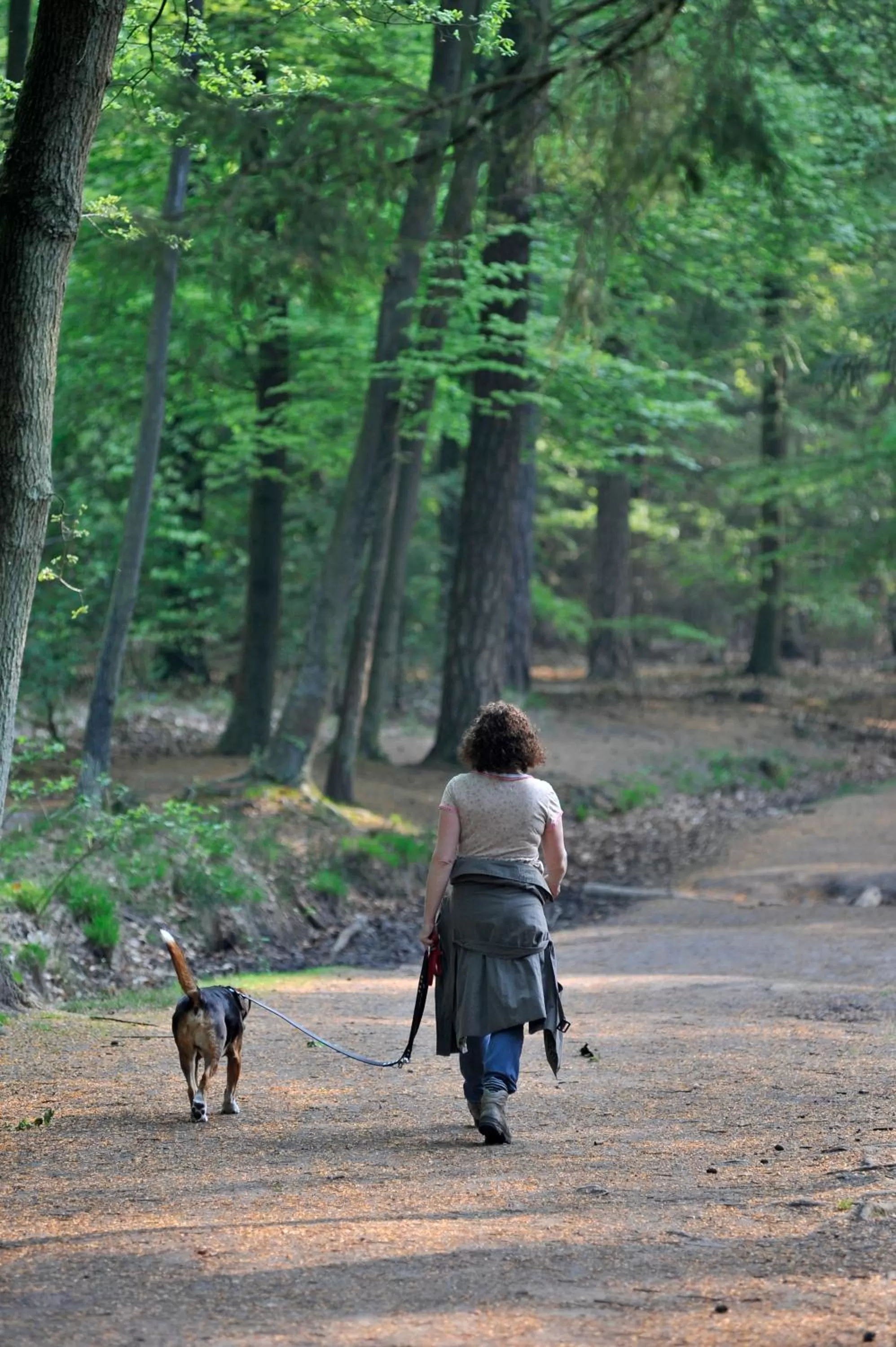 Facade/entrance in Parkhotel Mastbosch Breda