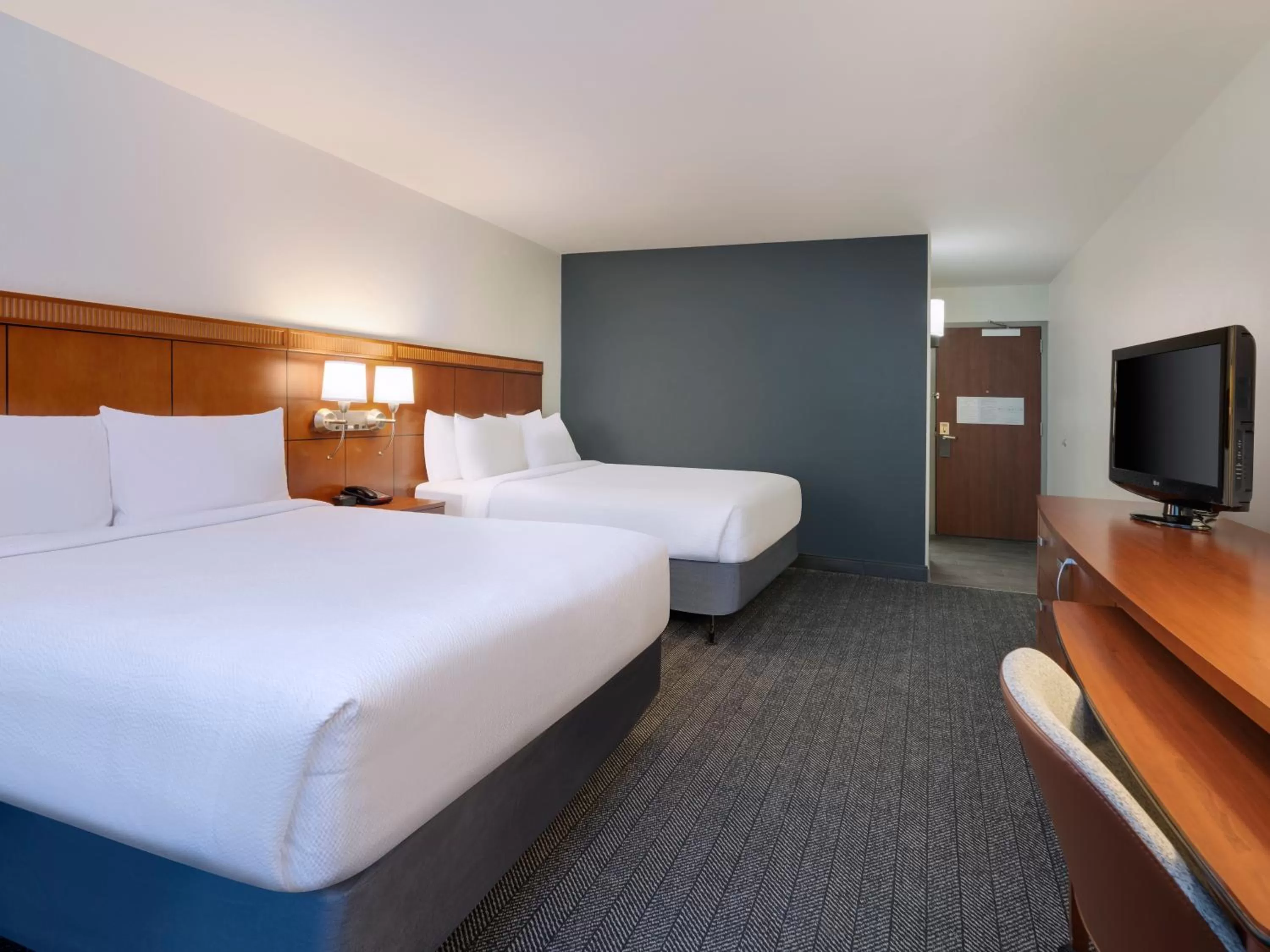 Guests, Bed in Courtyard Tampa North / I-75 Fletcher