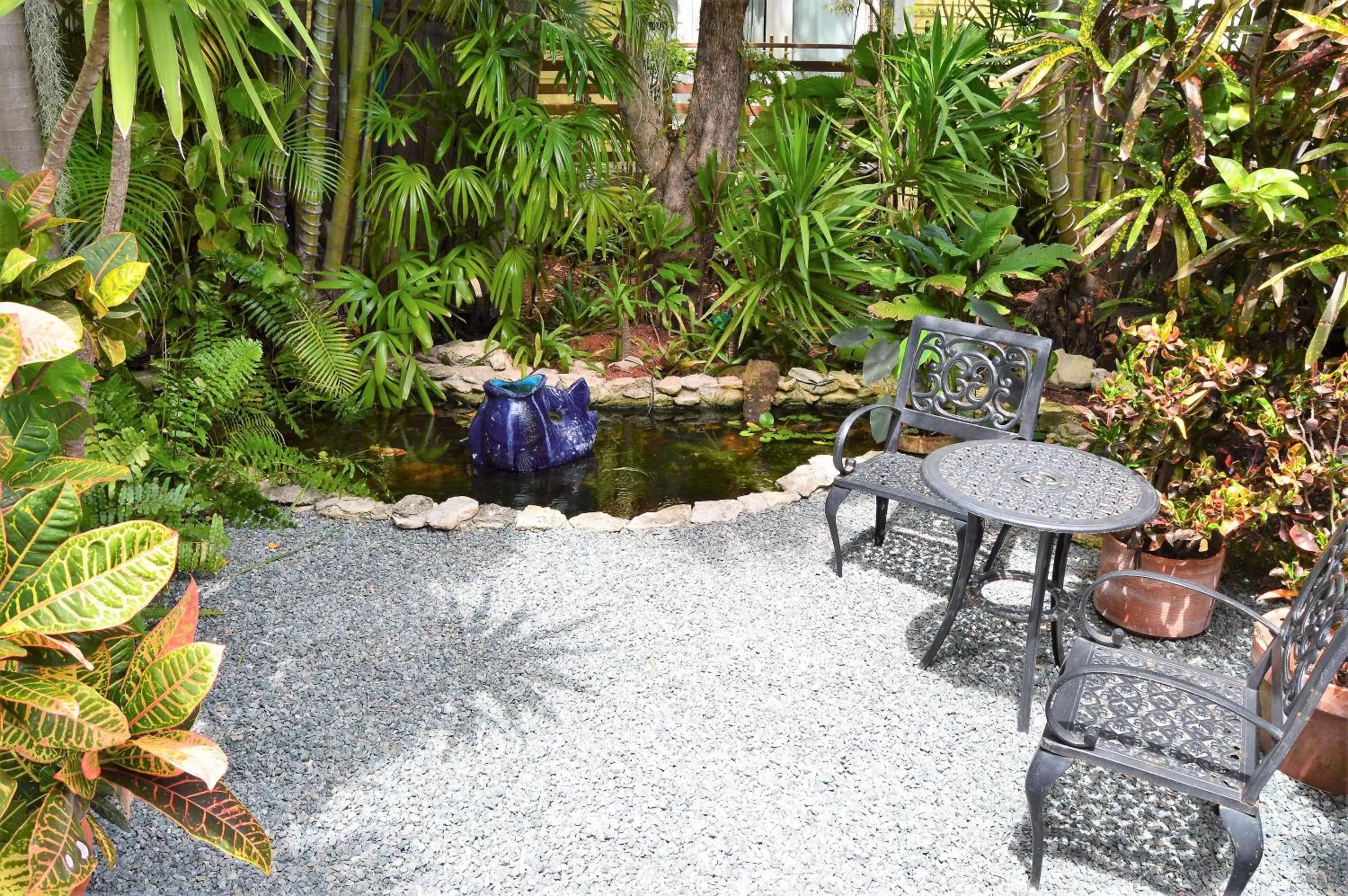 Garden in Douglas House