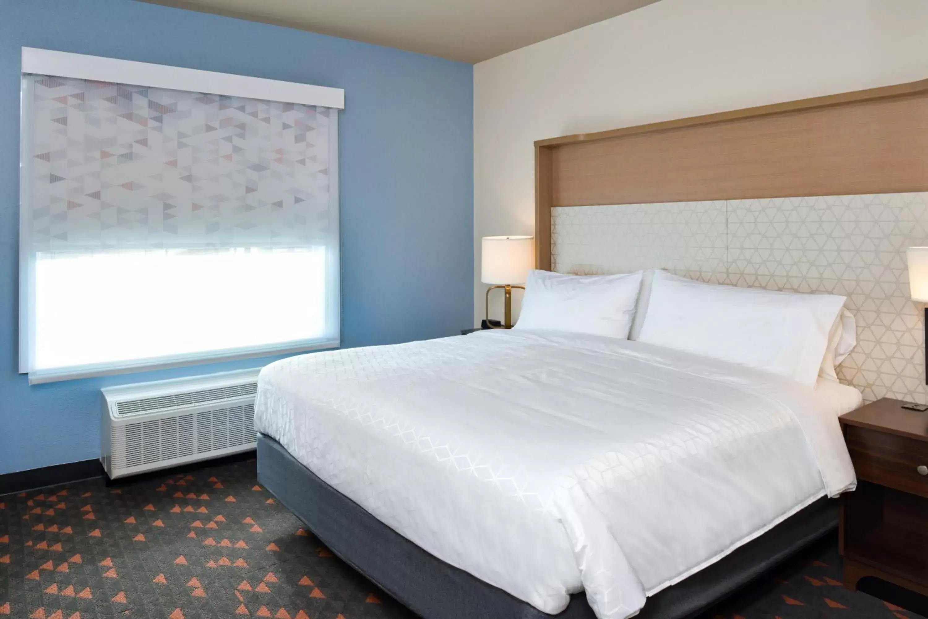 King Room - Mobility Access/Hearing Accessible in Holiday Inn Fort Worth - Alliance by IHG King Room - Mobility Access/Hearing Accessible in Holiday Inn Fort Worth - Alliance by IHG