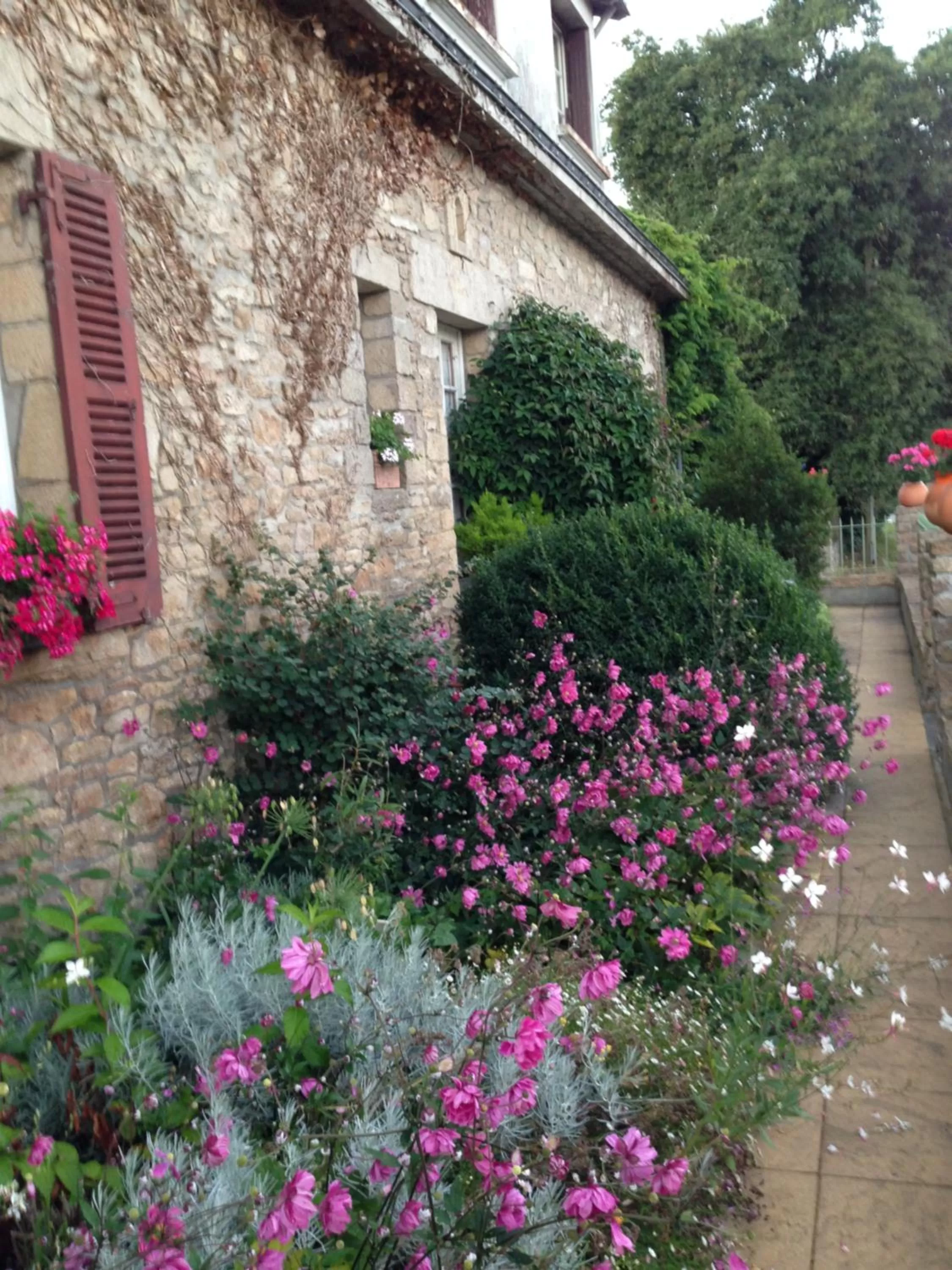 Property Building in JUKIE