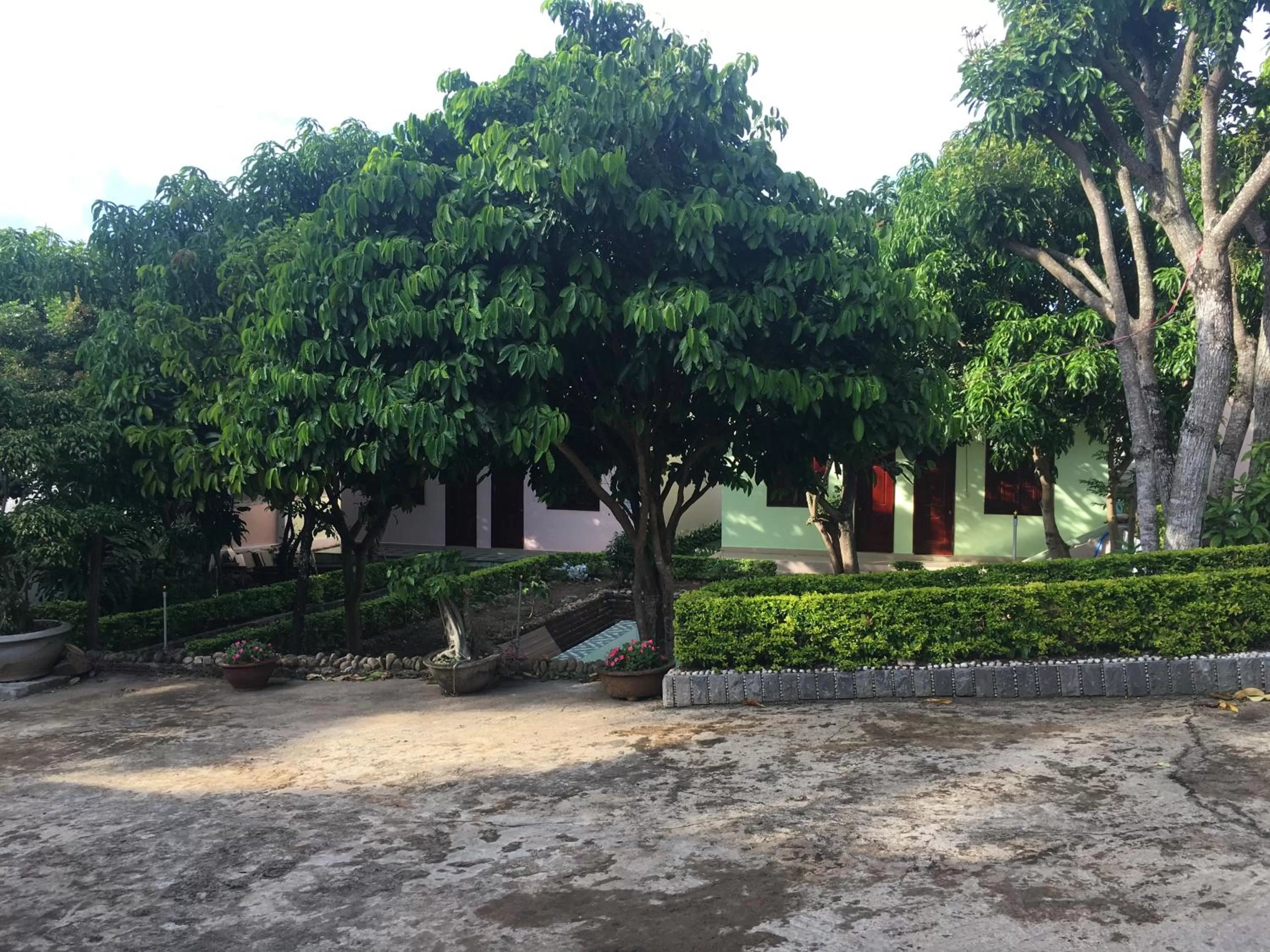 Garden in Nhà Nghỉ THẢO NGUYÊN XANH