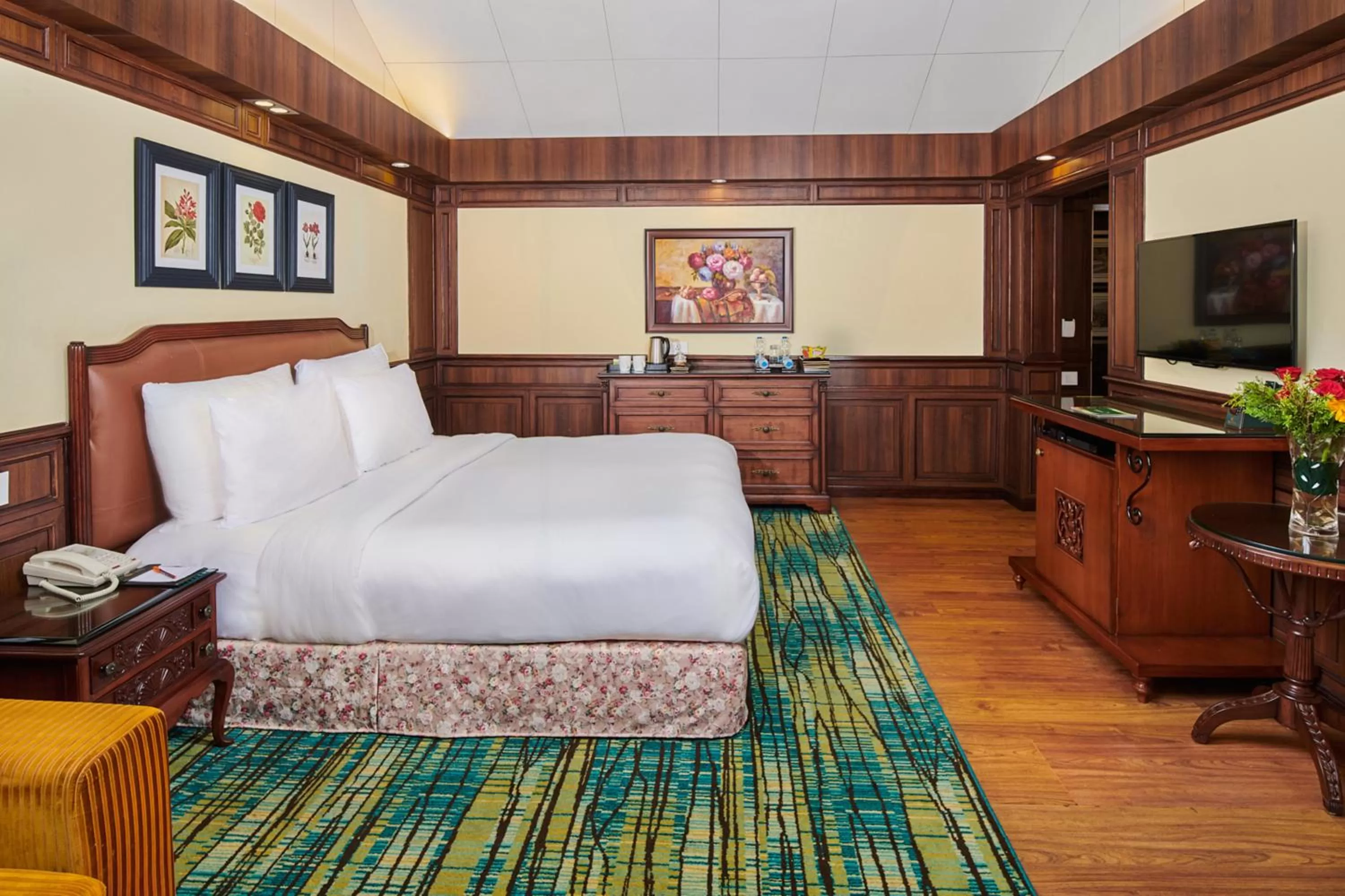 TV and multimedia in Mayfair Darjeeling