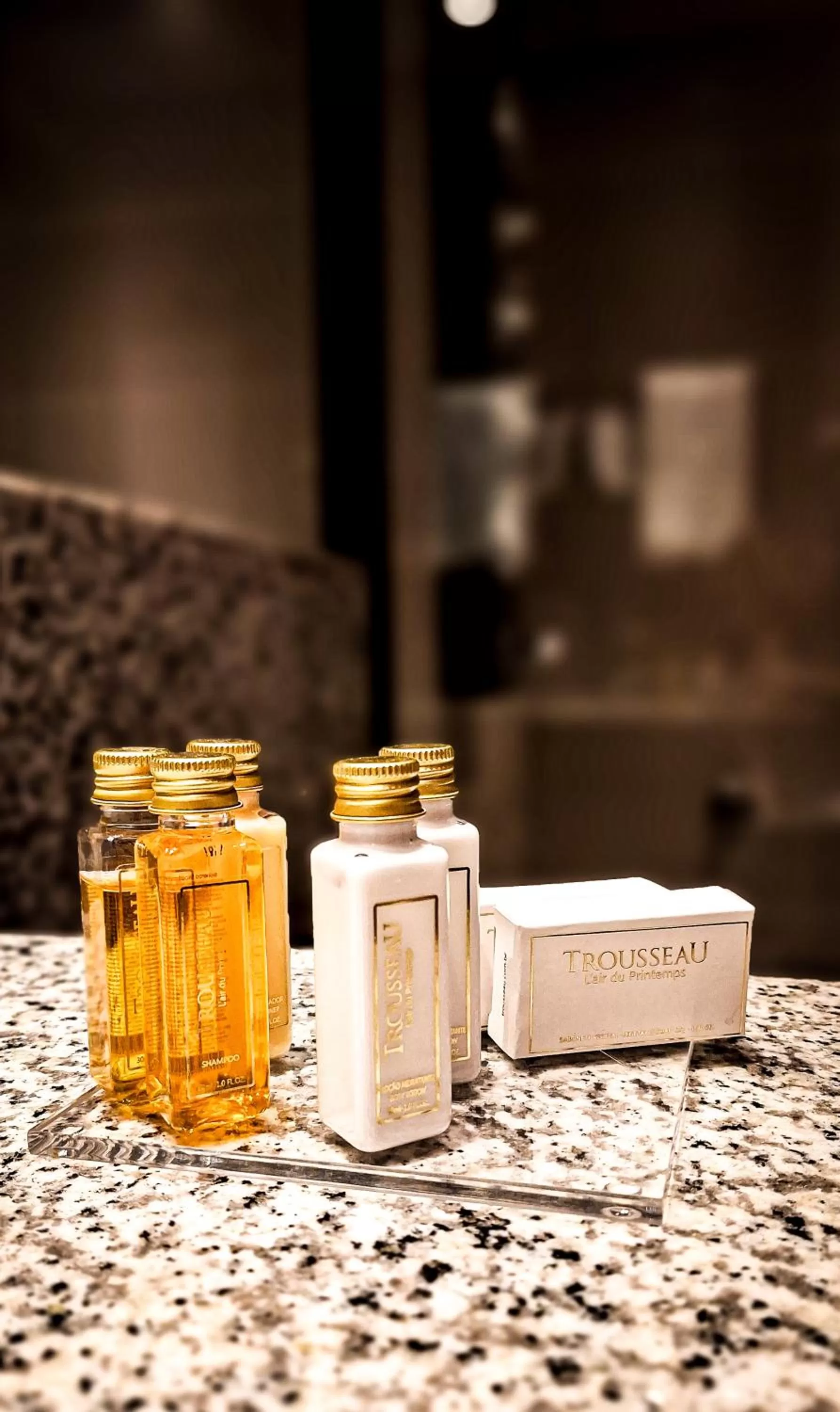 Area and facilities in eSuites Virgínia Luxemburgo