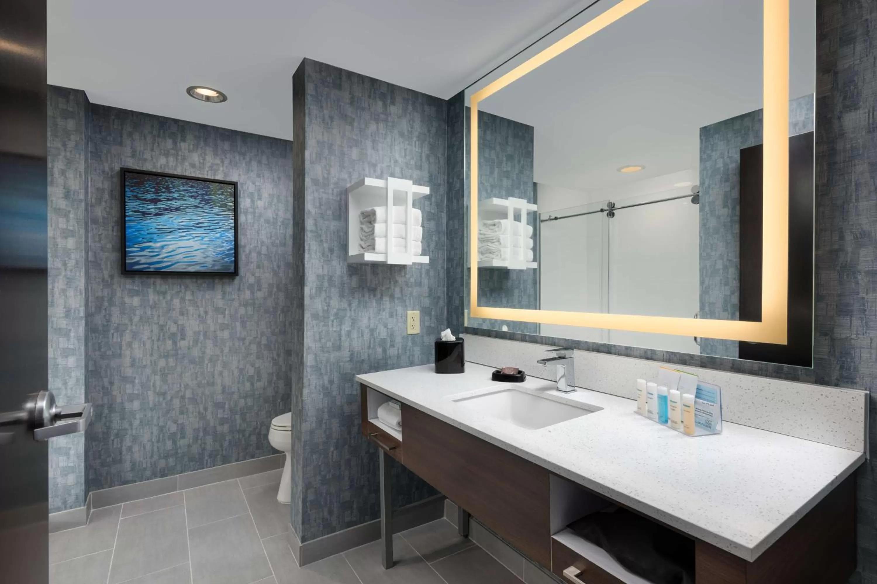 Bathroom in Hampton Inn & Suites Chattanooga Downtown