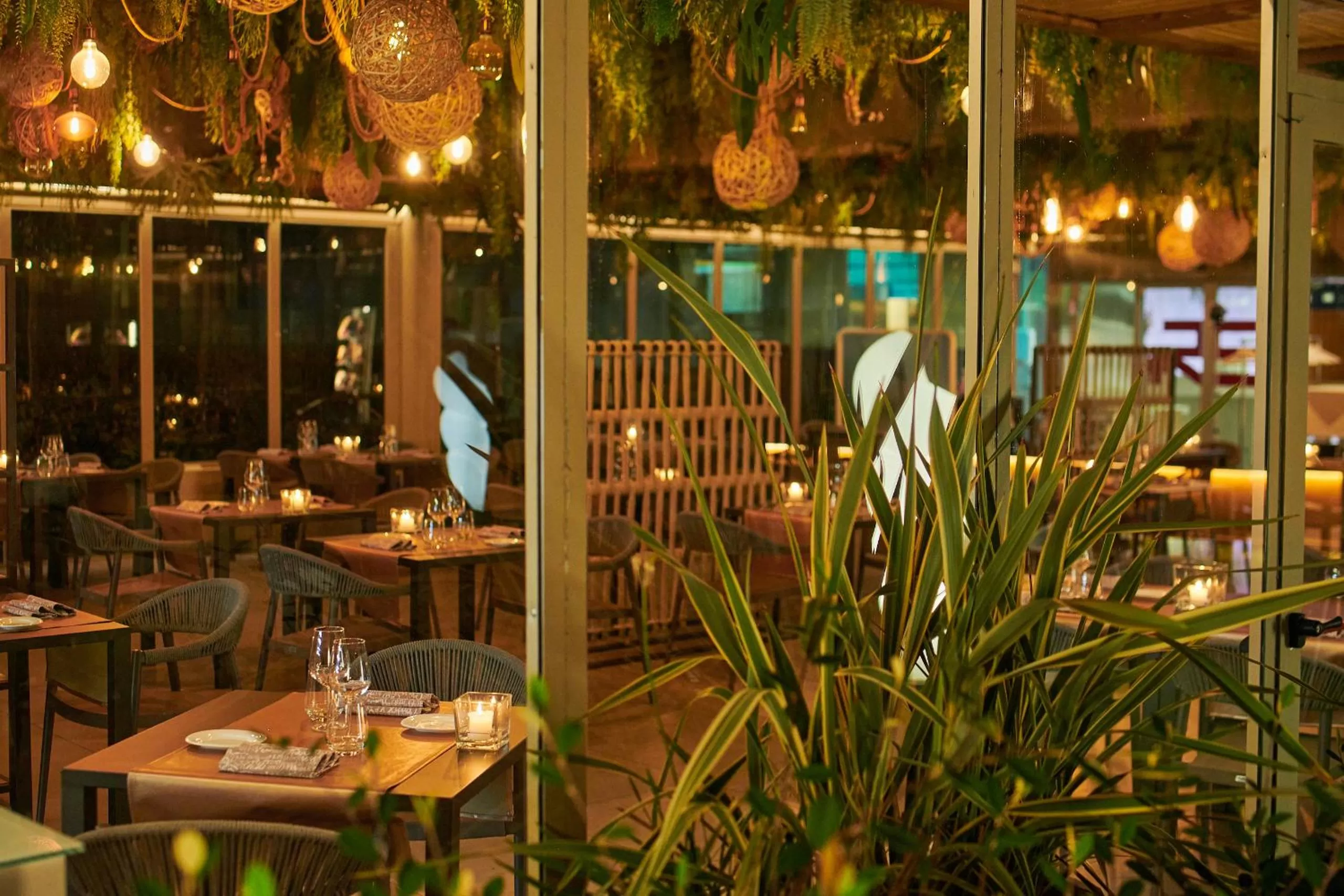 Restaurant/places to eat in San Ranieri Hotel