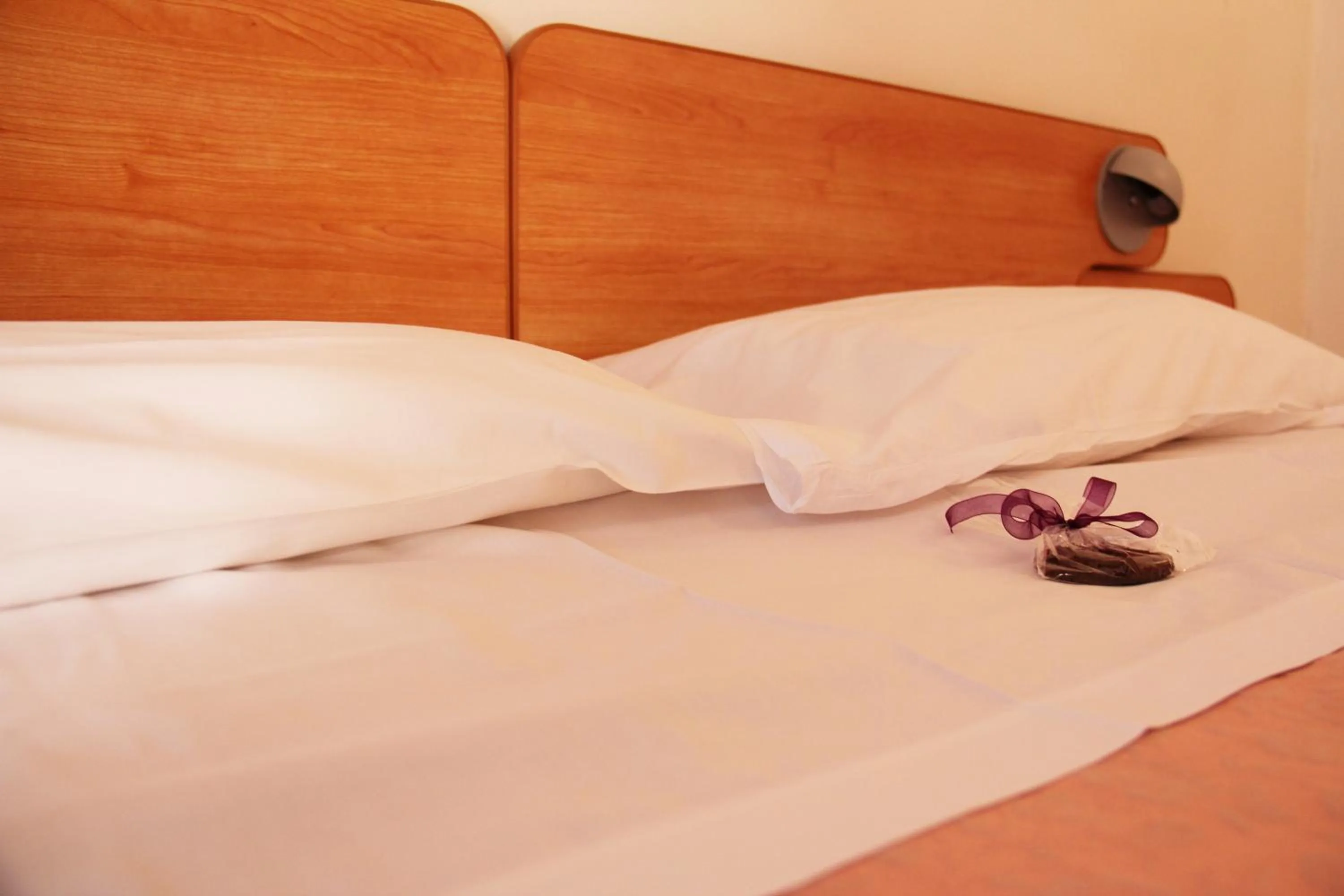 Bed in Albergo Al Viale