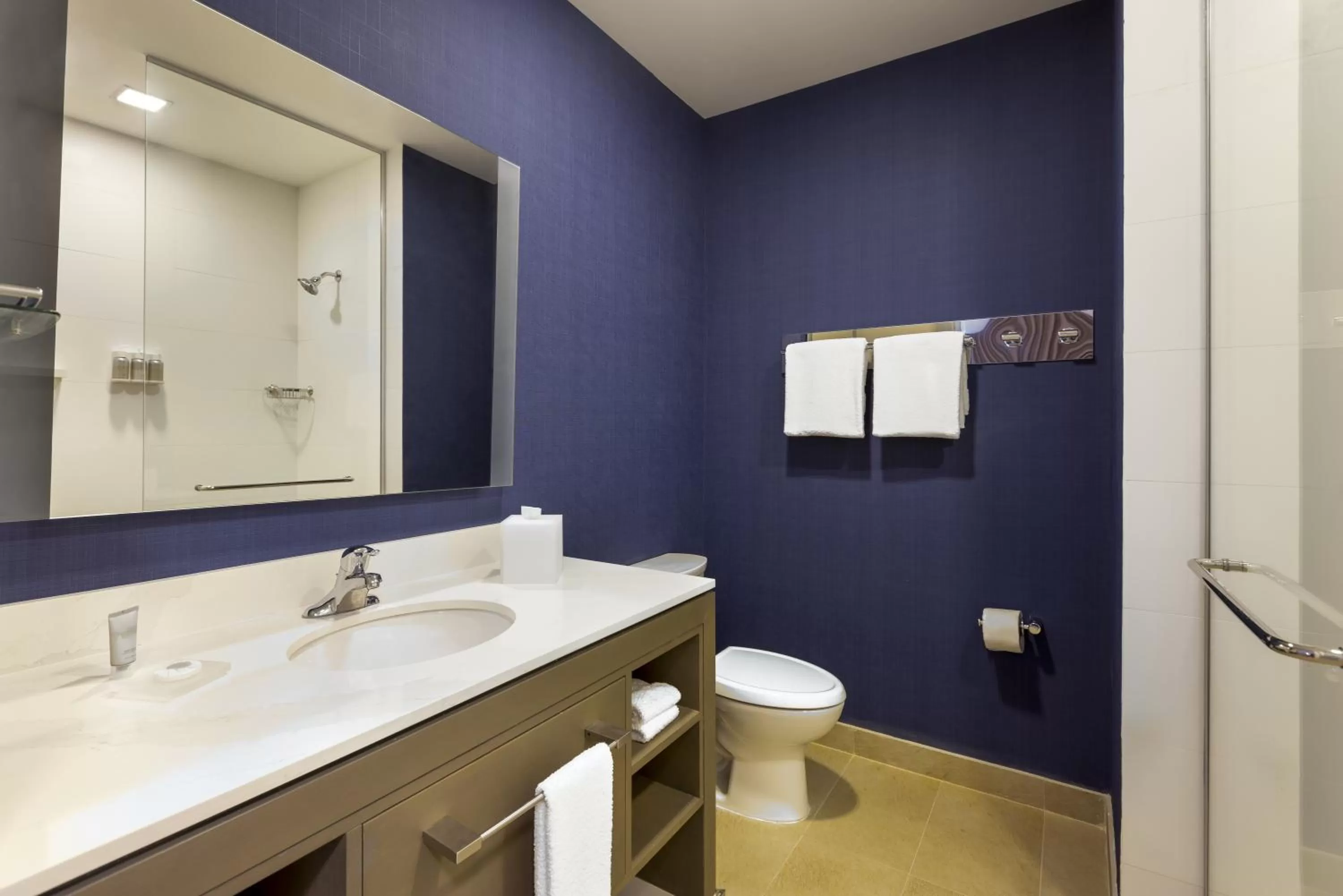 Bathroom in Residence Inn by Marriott Playa del Carmen