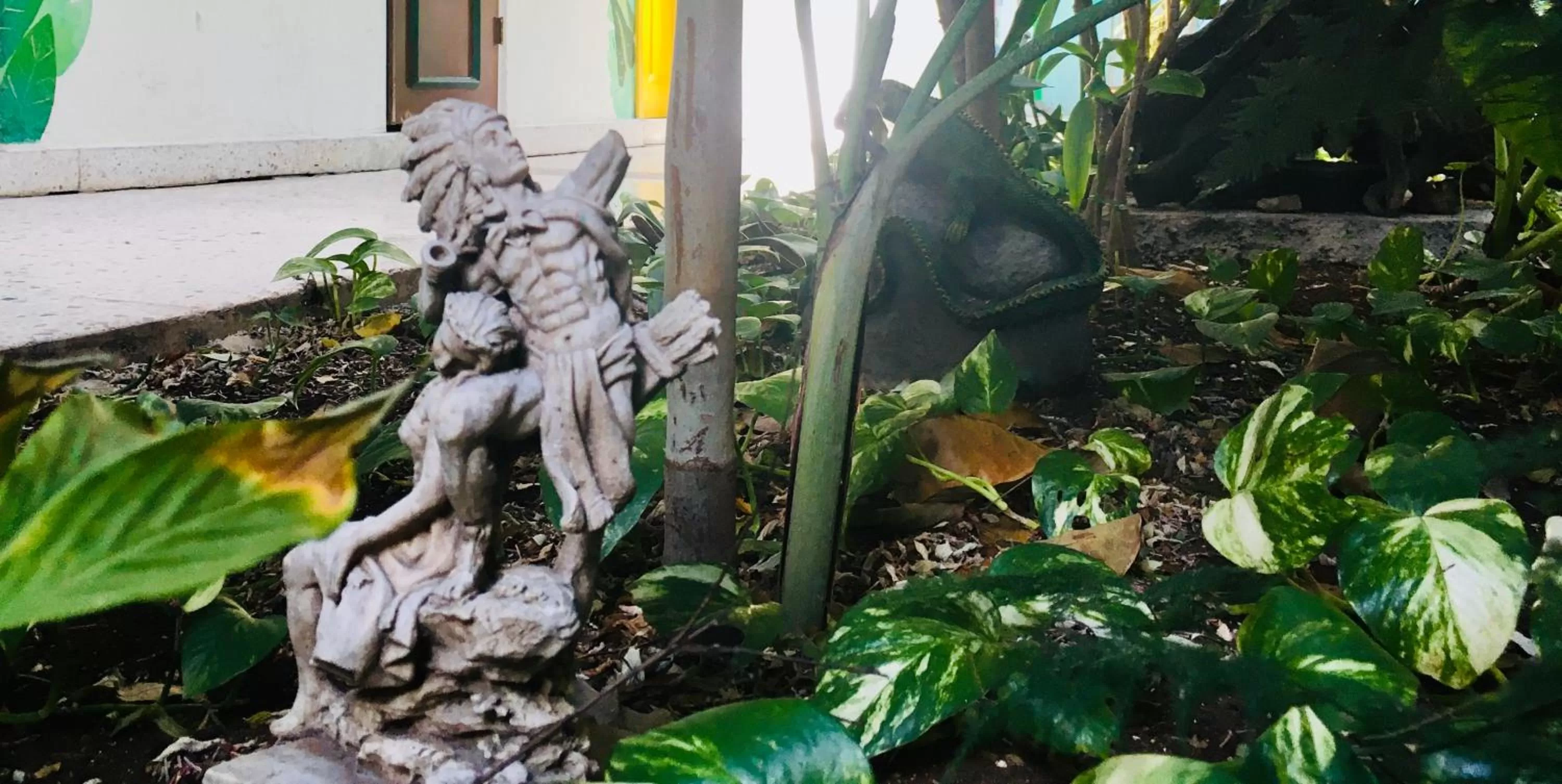 Garden in Hotel Posada Edem